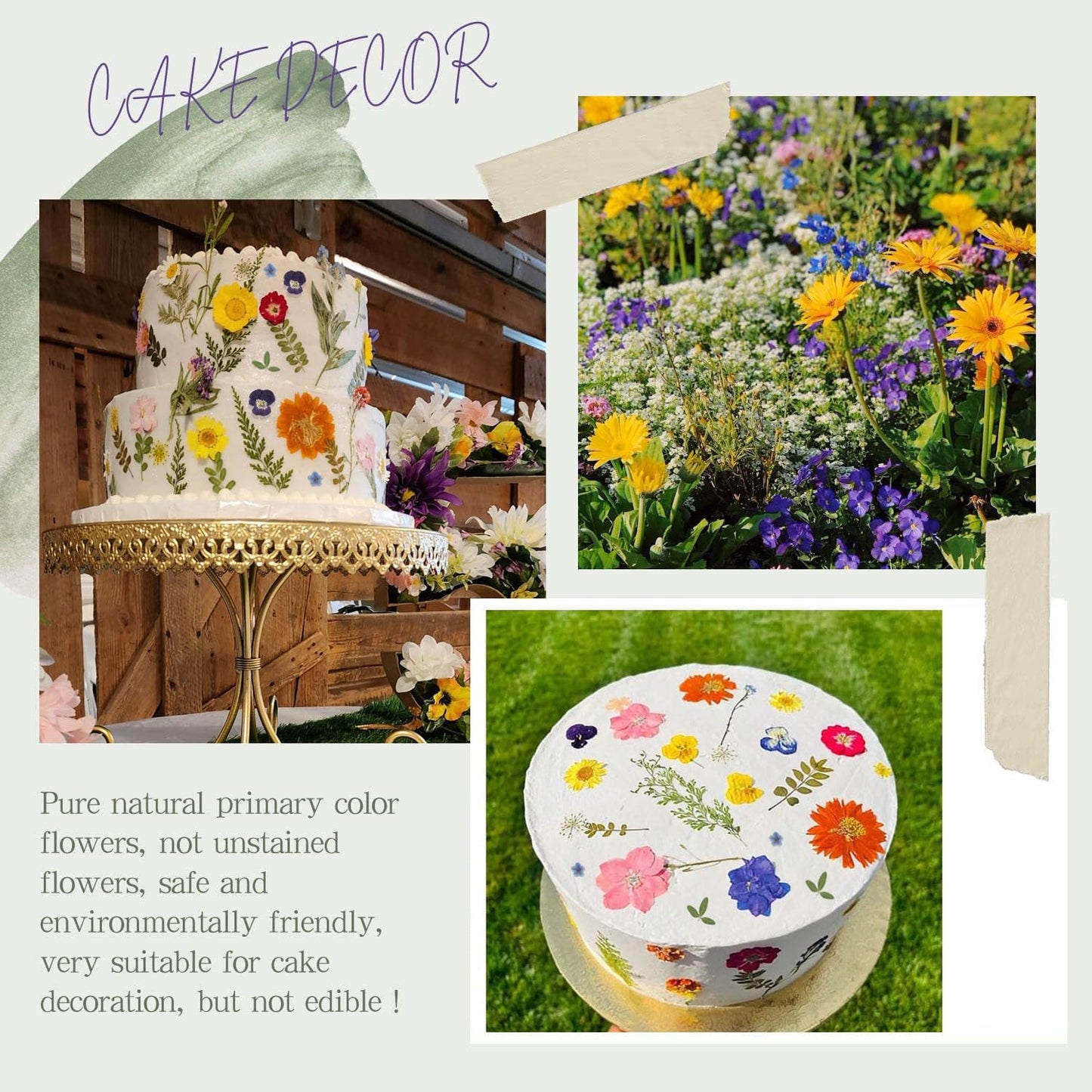 48 Pcs Mix Natural Dried Pressed Flowers for Cake Decorating, Real Dry Flower for Resin Jewelry Making, DIY Art Crafts - Muticolor