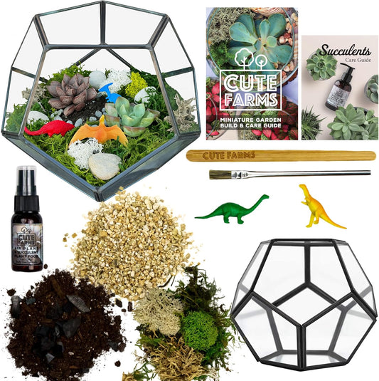 Cute Farms Glass Terrarium Kit | Just Add Your Own Plants (Geometric Glass)