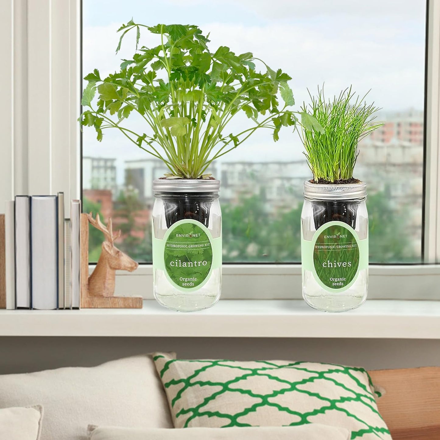 2-Pack Hydroponic Mason Jar Herb Garden Kit, Indoor Herb Garden Self-Watering Starter Kit (Cilantro,Chives)