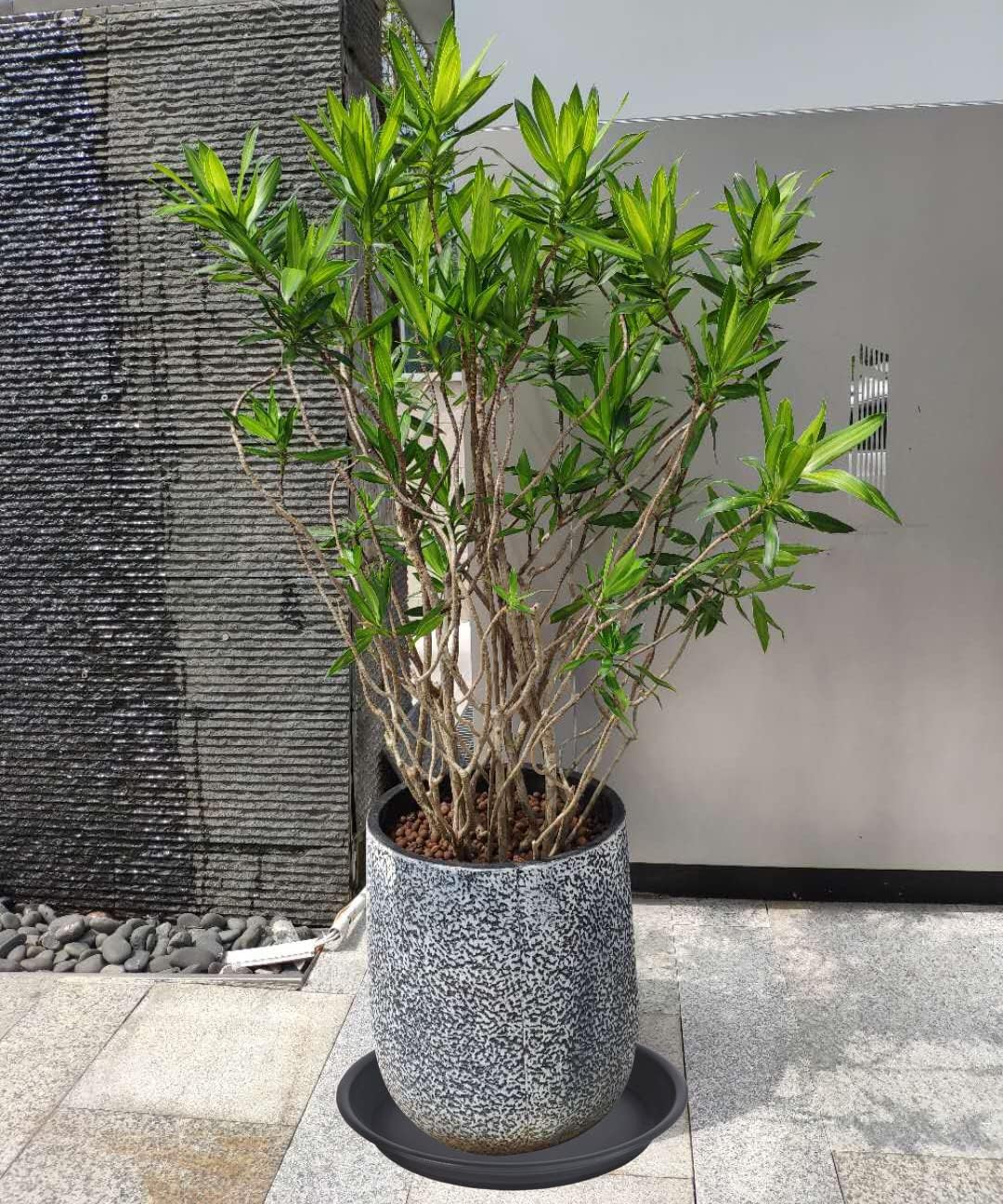 4 Pack Plant Saucer 16 inch, 17 inch (16.8") Plastic Large Flower Planter Plant Pot Saucers and Drip Tray for Indoors Outdoors, Thick Heavy Sturdy Durable Plant Plate Water Catcher (Black)