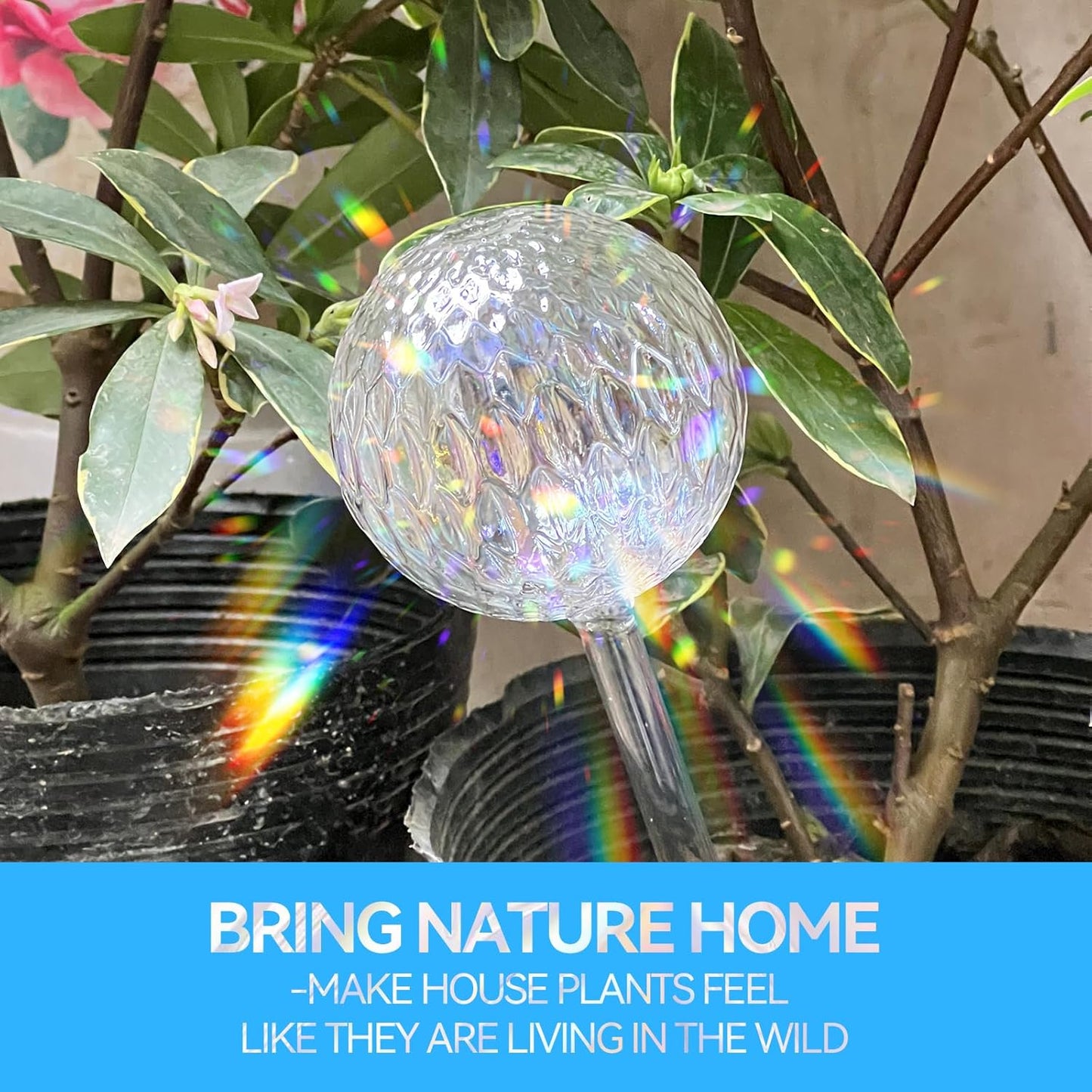 FLORA GUARD Plant Watering Globes, 2-PCS Water Globes for Indoor Plants, RainbowGlass Self Watering Planter Insert, Automatic Plant Waterer Bulbs Devices