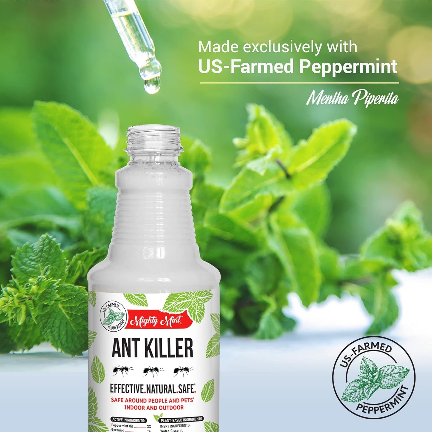 Mighty Mint Peppermint Oil Ant Killer Spray – Natural Ant Repellent for Indoor & Outdoor Use – Plant-Based Insect & Pest Control – 16 oz