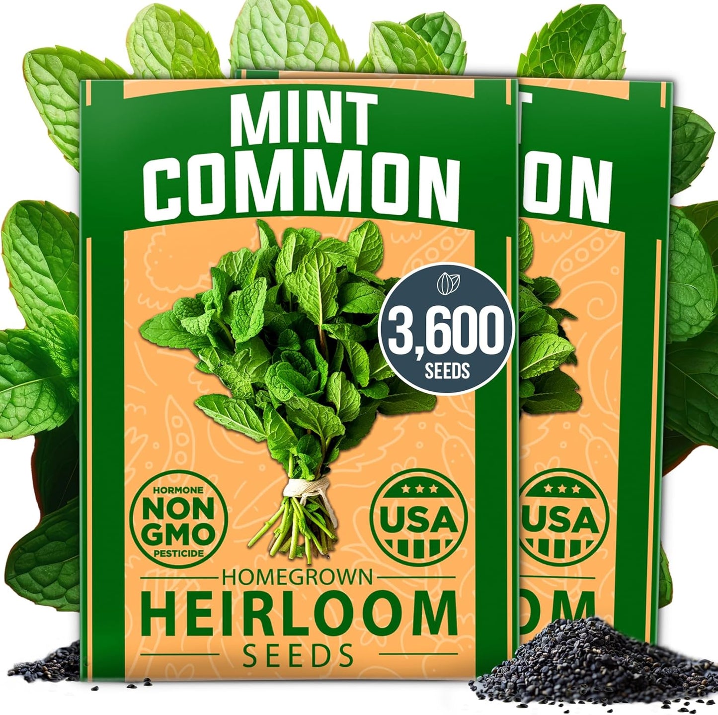 HOME GROWN Premium Common Mint Seeds (Bulk Pack) 3,600 𝗡𝗢𝗡-𝗚𝗠𝗢 𝗨𝗦𝗔 Heirloom Herb Seeds, USA Sourced | Ideal for Planting Outdoors or Indoors for a Fresh Mint Tea Garden (Mentha spp)