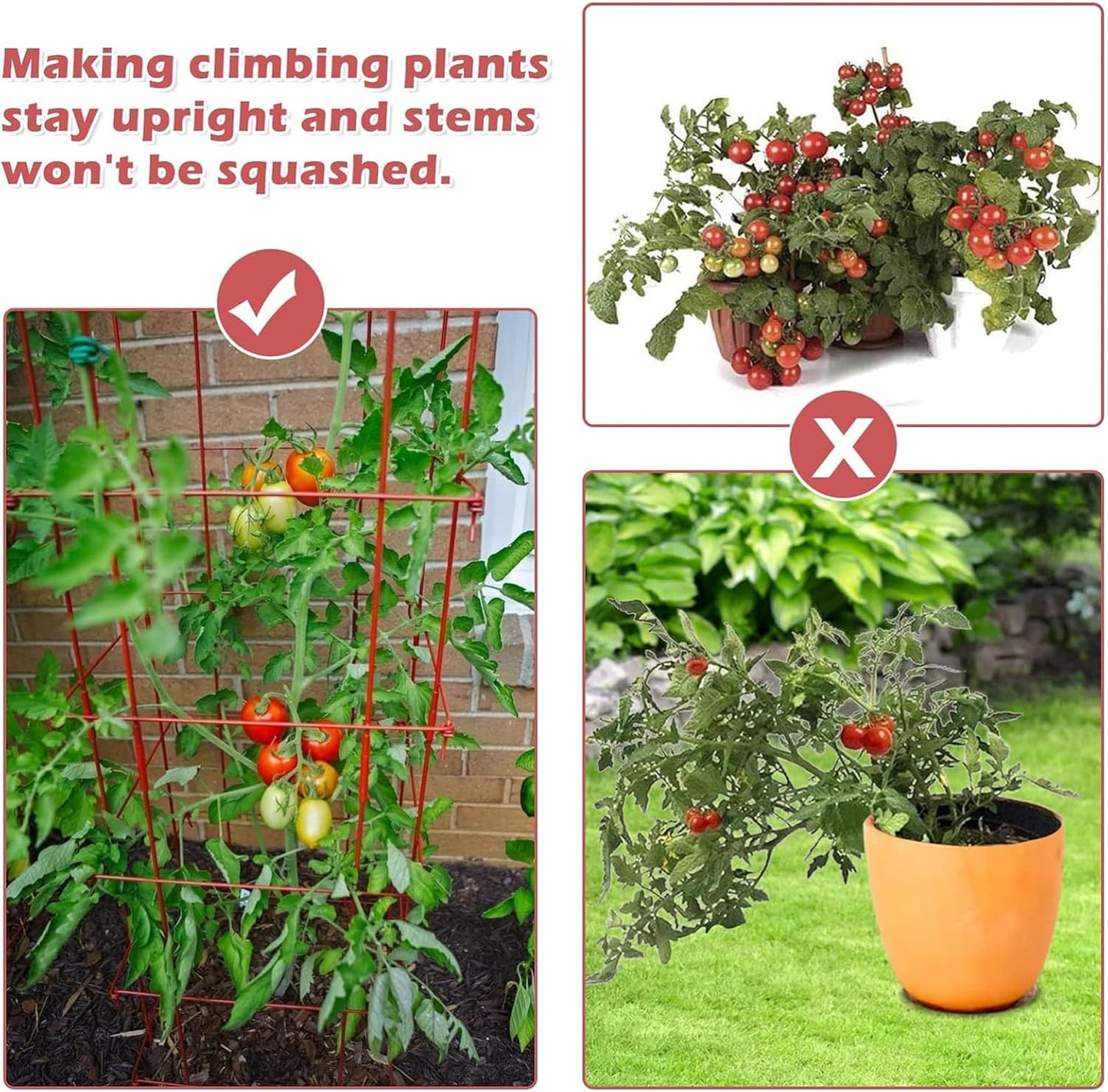 DoCred 4 Pack Tomato Cage, Folding Tomato Cage Heavy Duty Metal Square Tomato Cages Coated Steel Garden Plant Support Stake Tower for Climbing Vegetables, Plants, Flowers, Steel Red