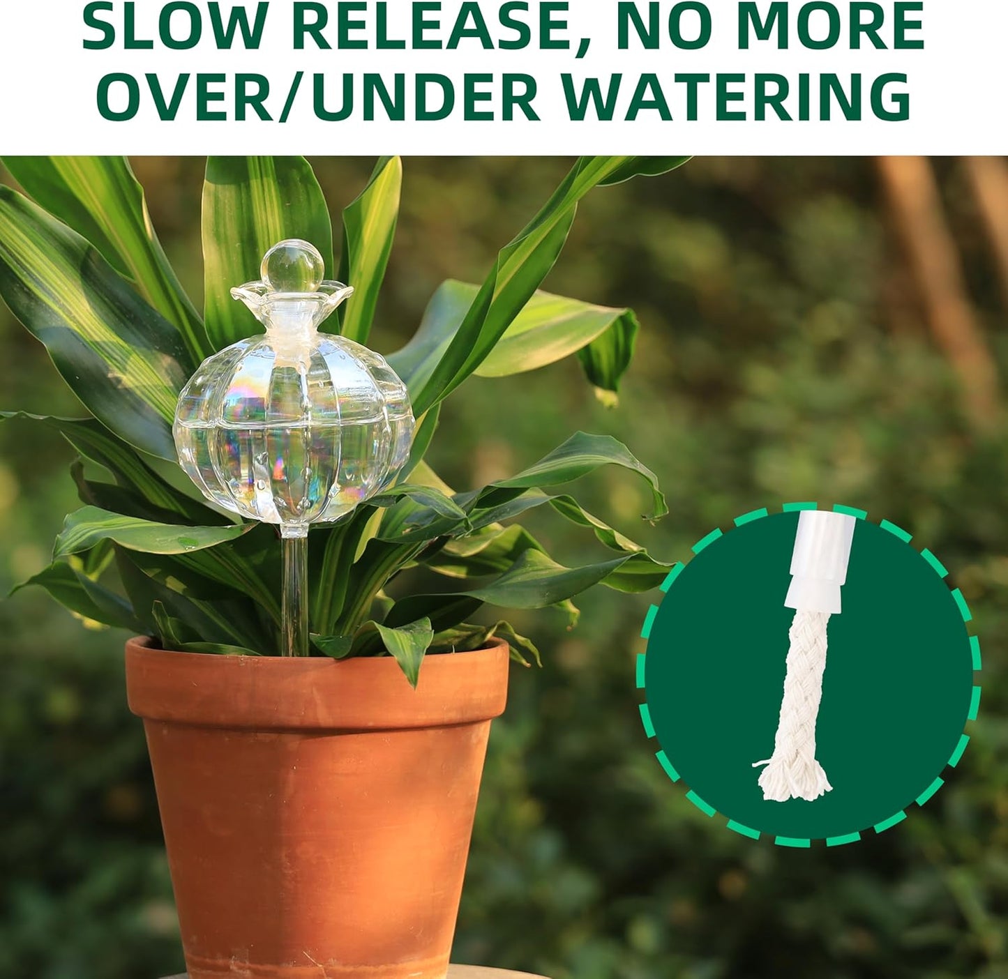 10 oz Large Top Fill Cactus Plant Self Watering Globes, Light Iridescent Glass Water Bulbs, Slow Release Watering Devices System Indoor | Outdoor Everyday Use, Water Spikes Stakes, 2 Pack