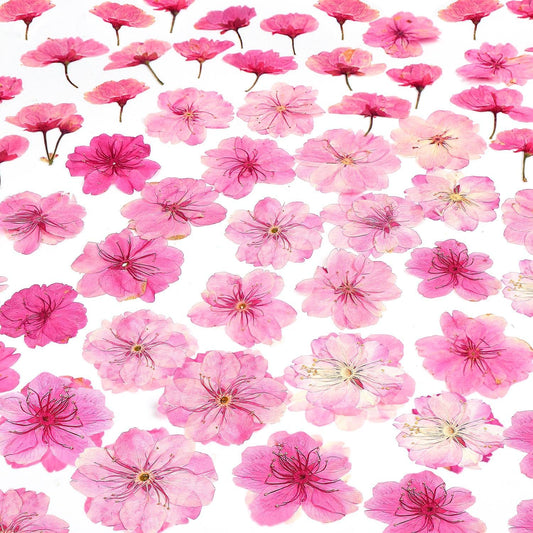 48 Pcs Mix Cherry Blossom Natural Dried Pressed Flowers for Cake Decorating, Real Dry Flower for Resin Jewelry Making, DIY Art Crafts - Pink Sakura…
