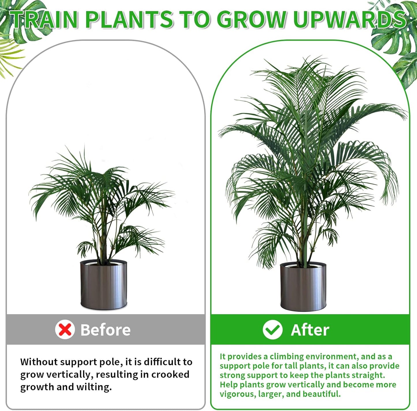 5 Pack 27.56" Detachable Twig Plant Support Stakes Set, Blends in to Plant, Branch Plant Sticks with Orchid Clips Twist Plant Ties, Twig Trellis for Indoor Outdoor Plants Potted Plants Flower