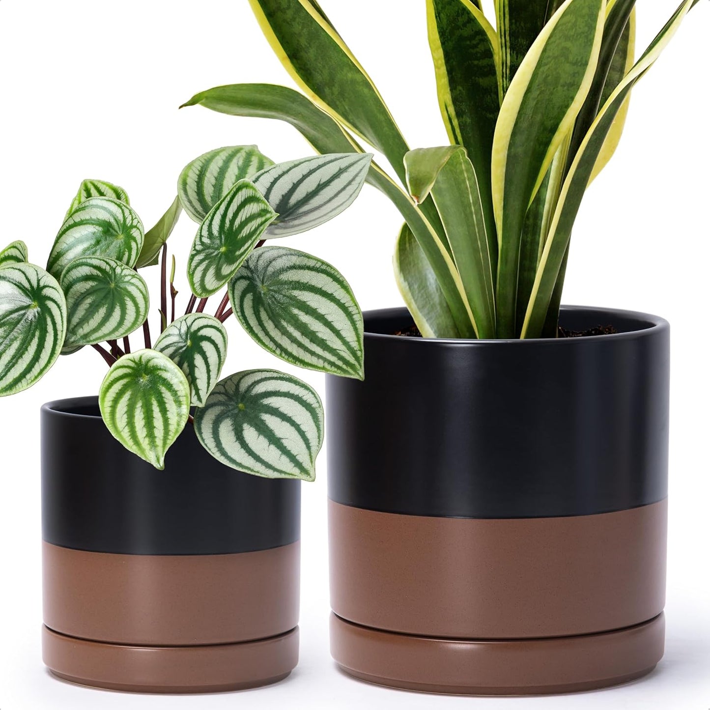 D'vine Dev 6.5 Inch & 8.2 Inch Ceramic Planter Pots for Plants with Drainage Hole and Saucer, Medium Plant Pots Set, Black/Speckled Tan, 94-G-M-7