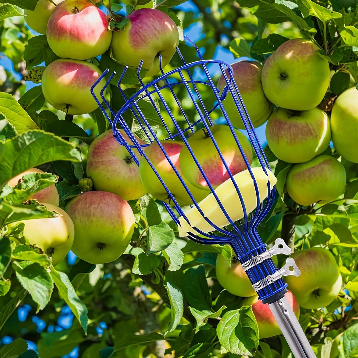 Steel Adjustable Splicing Fruit Picker Pole with Basket, 35-129 Inch Grabber Reacher Tool for Orange Lemon Apple Guava Mango Avocado Pear Tree Harvesting