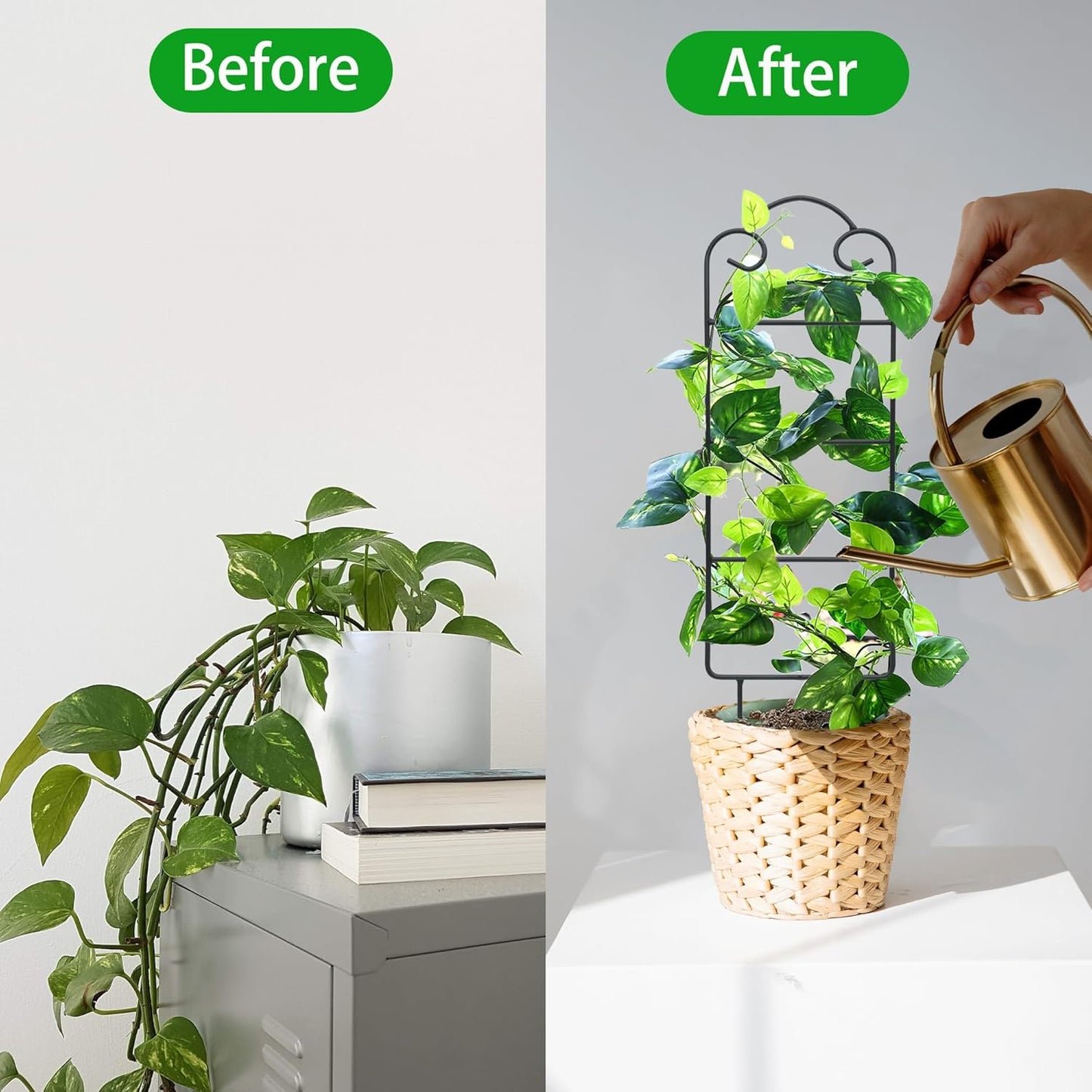 16 Inch Plant Trellis Indoor for Potted Plants 4 Pack Indoor Plant Trellis for Climbing Plants Houseplant Trellis Metal Garden Pot Trellis for Vine Ivy Support(16inch Black)