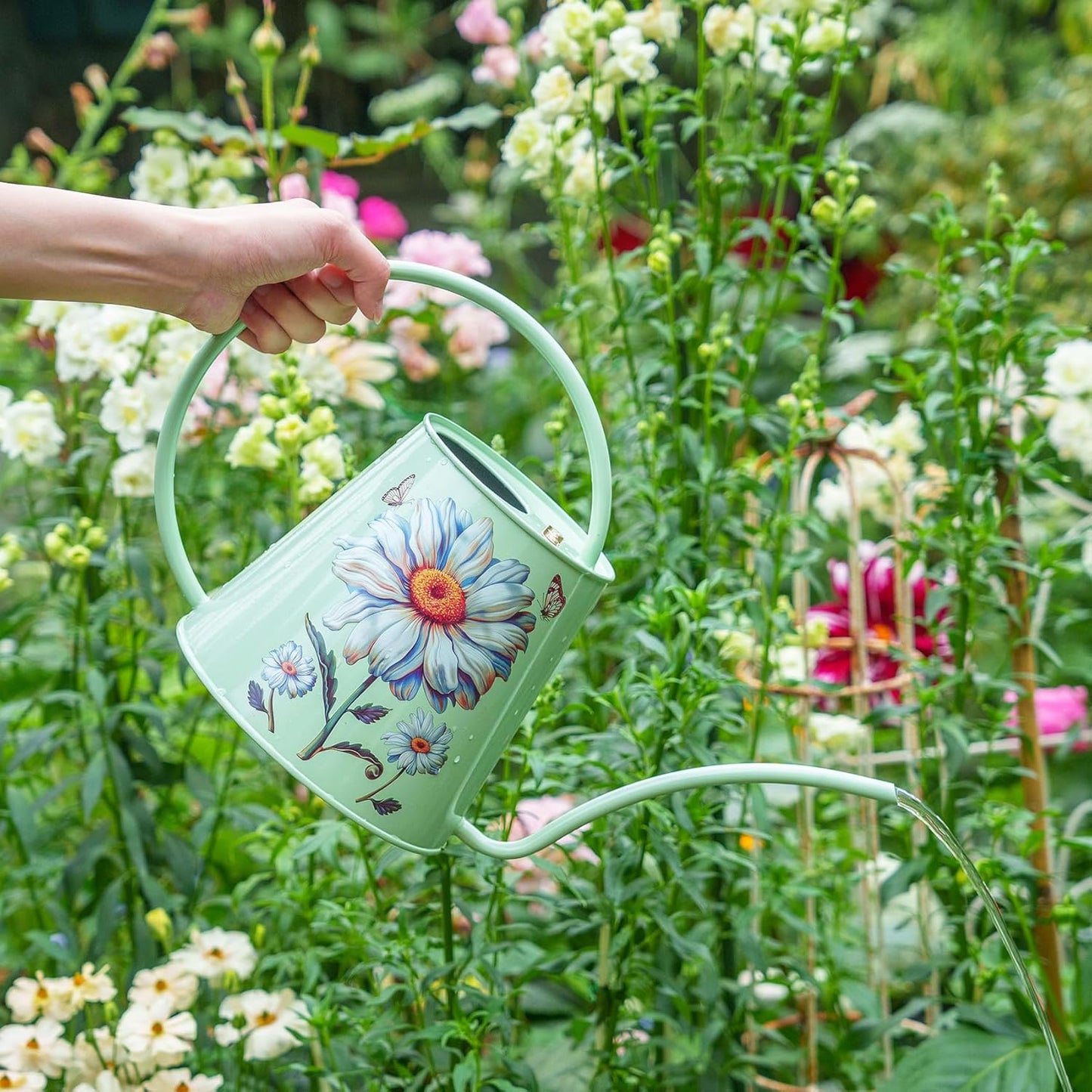 Berry&Bird House Plants Watering Can - Indoor&Outdoor 1/2 Gallon Stainless Steel Water Can with Long Spout Garden Decoration for Flower Bonsai Succulent Gardening Large Water Bottle (Bellis Perennis)