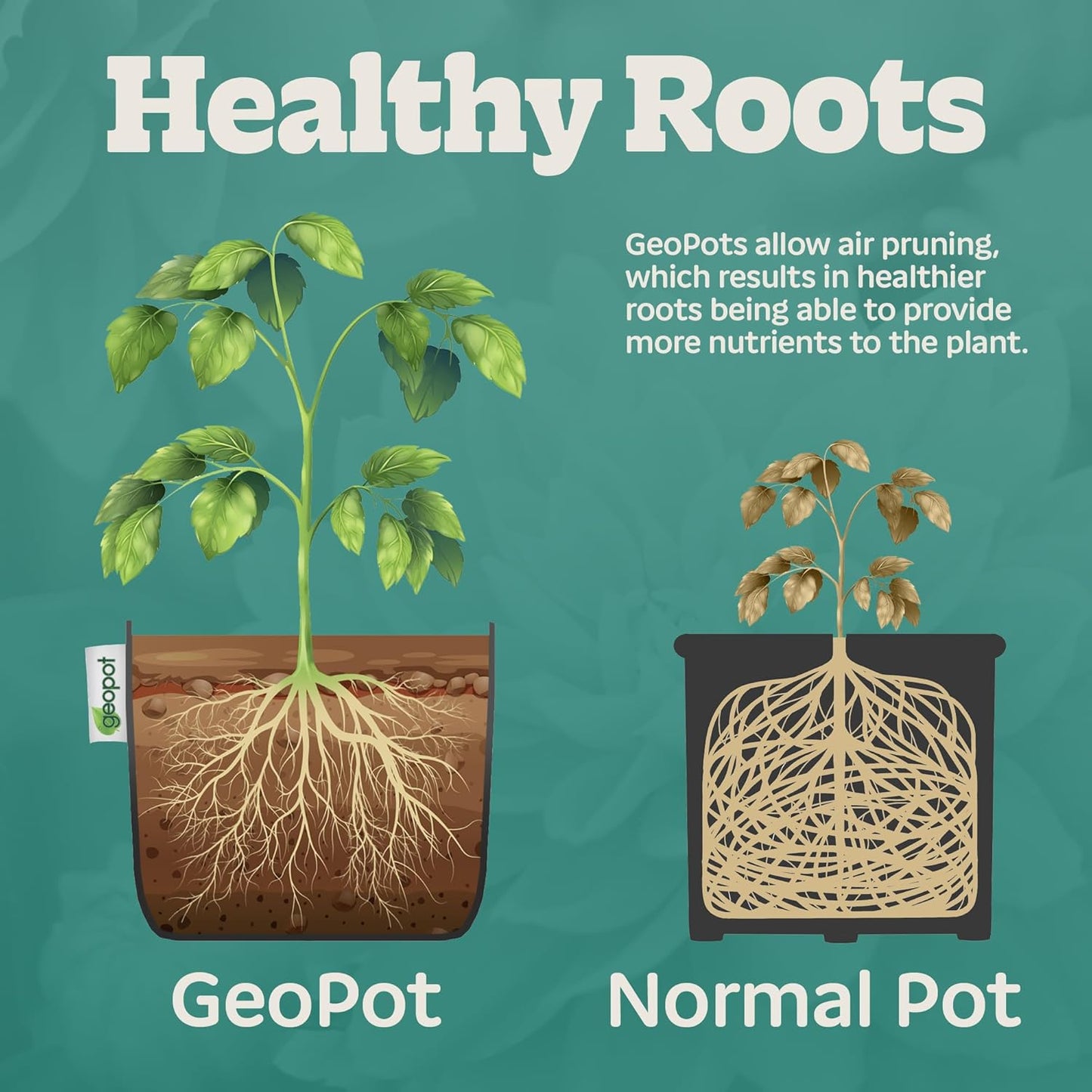 3 Gallon Fabric Grow Bags for Vegetables, Houseplants, Herbs & Flowers | 10-Pack | Fabric Pots for Outdoors and Indoors, Aerated Fabric Grow Bags