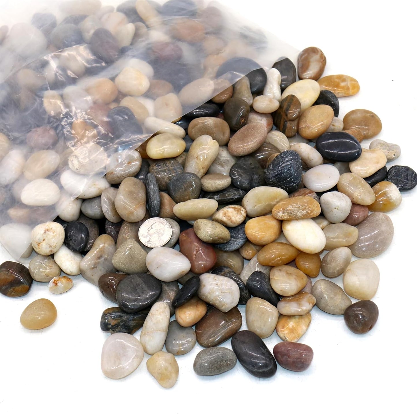 Rocks for Plants. Mixed Color Polished Decorative Pebbles. 0.5 to 1 Inch 18 lbs. for Garden, Landscaping, Indoor, Vase fillers, Crafting, Succulents, pots, Plants
