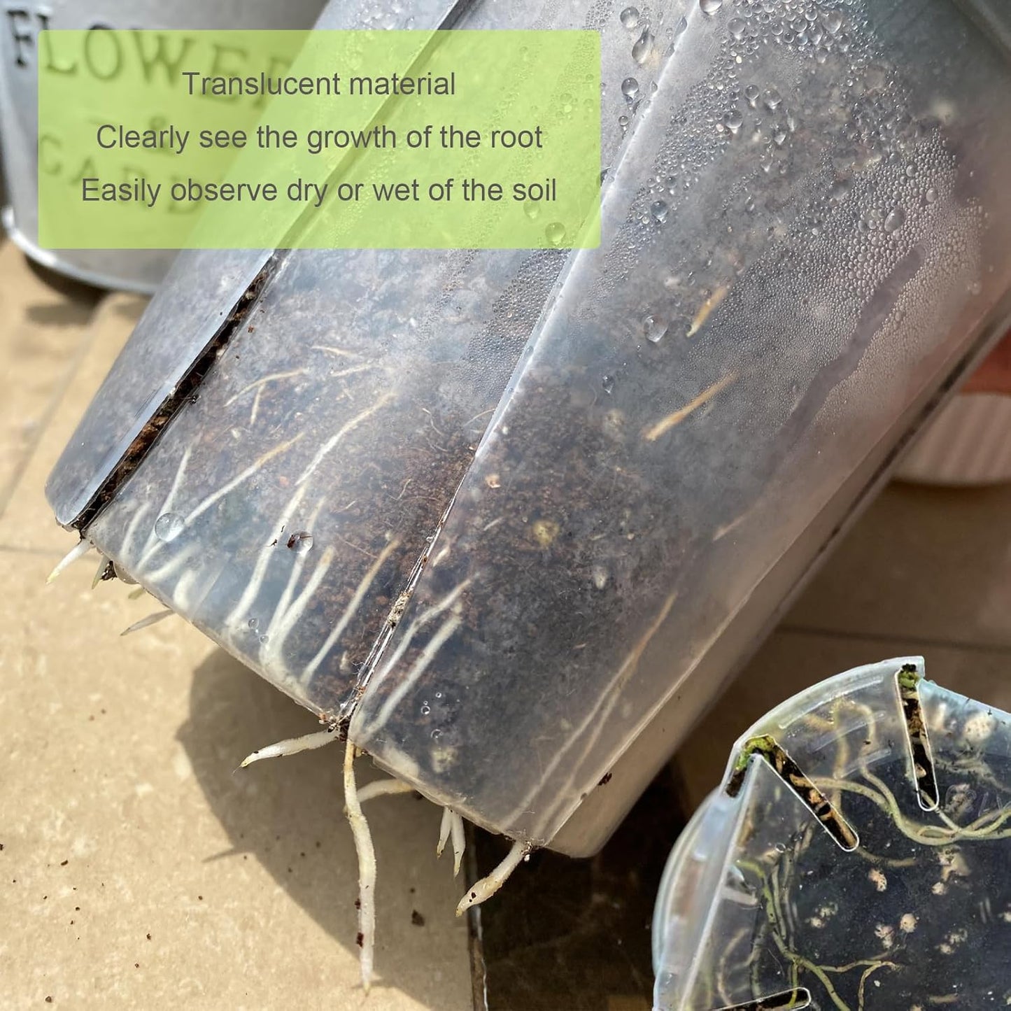 30 pcs 5/6 inch Clear Nursery pots,Thick Plastic Planter with Drainage Holes for Herbs,Succulents,Cactus etc Indoor use