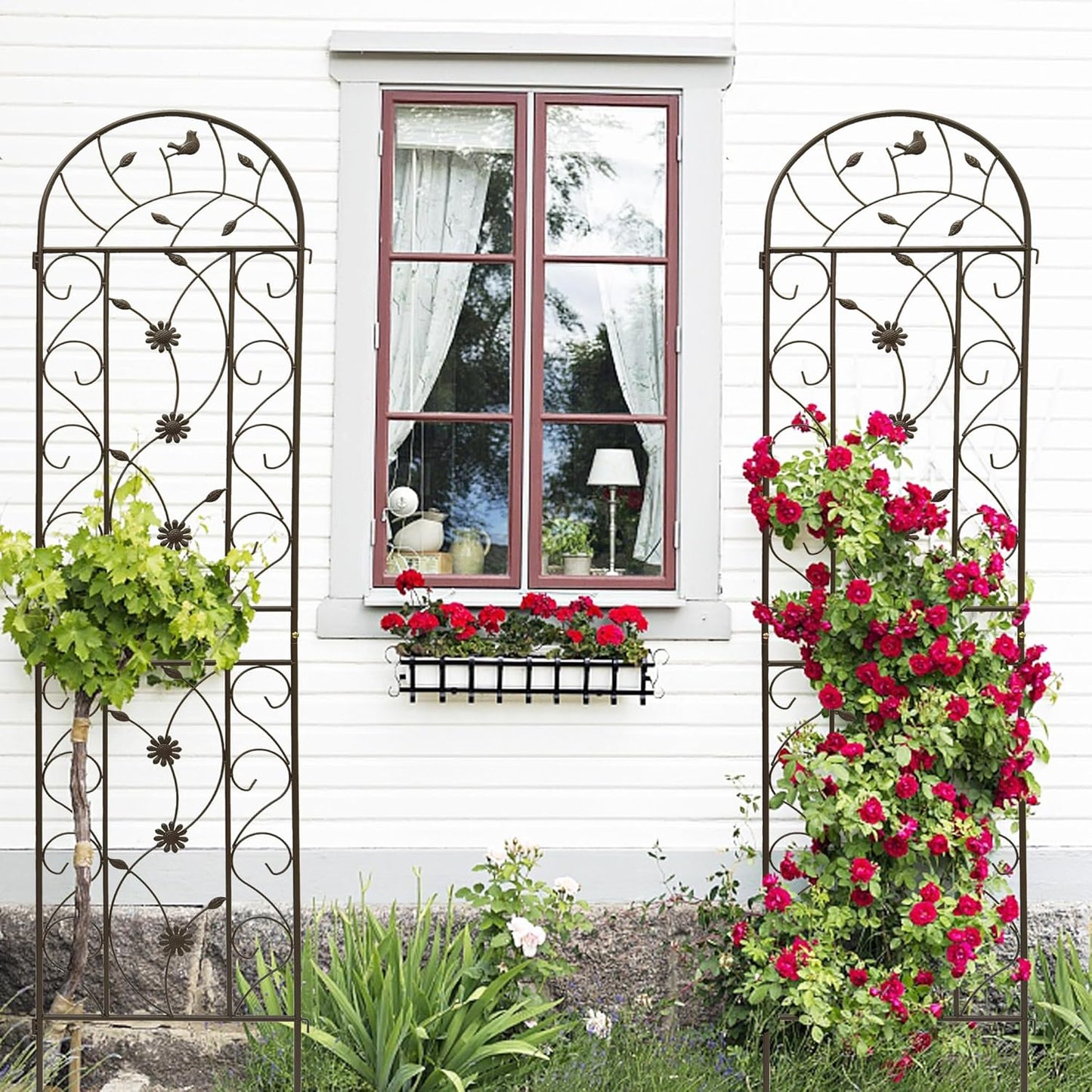 Garden Trellises, 2 Pack Brown Metal Coated Rustproof Trellis for Climbing Plants Outdoor, Roses, Vines, Flowers, and Vegetables-19.7×86.7 inches