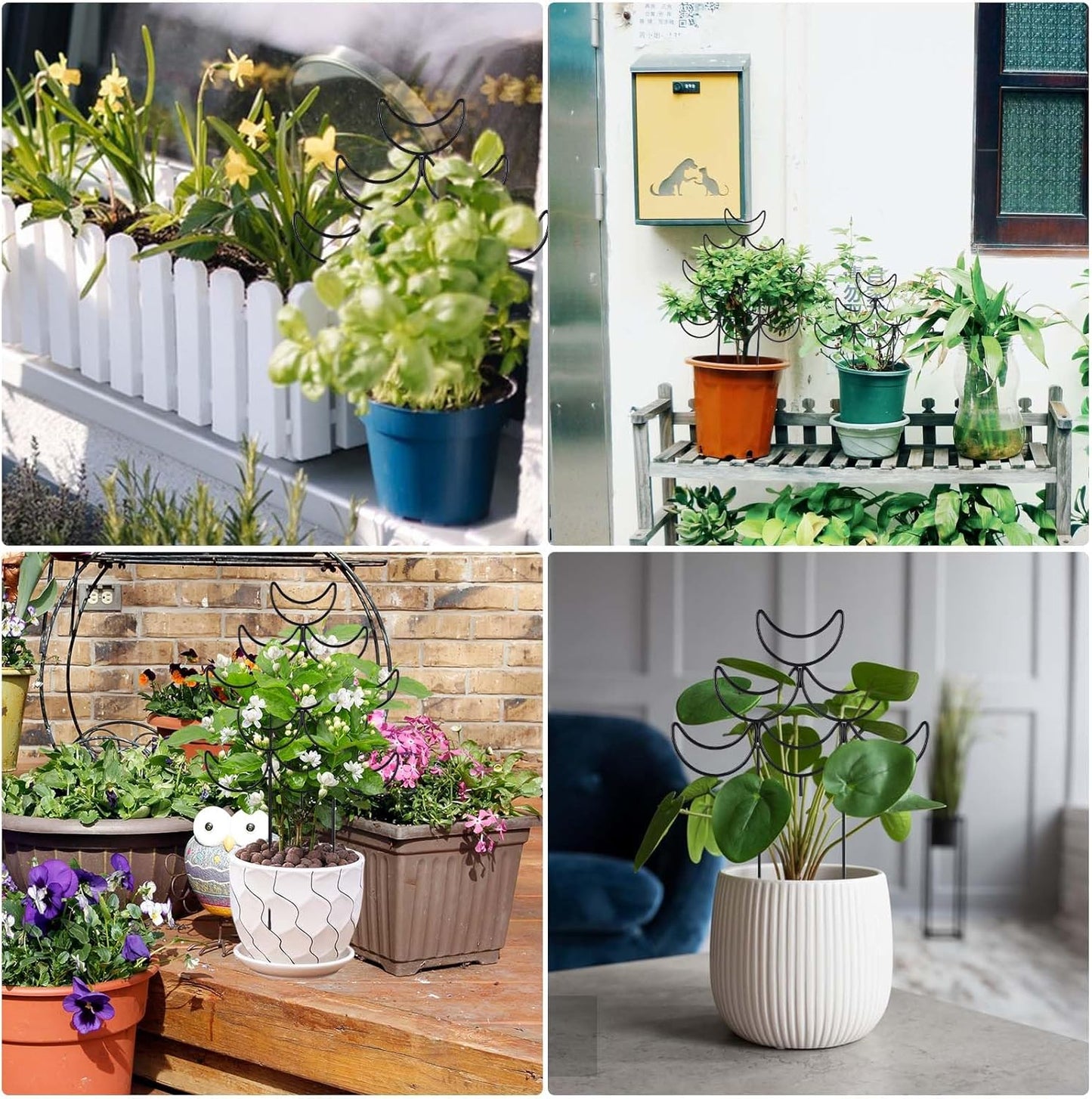 Indoor Plant Trellis 2 Pack Small Metal Climbing Plants Support for Outdoor Garden Potted Flowers Houseplant Ivy Vines Hoya