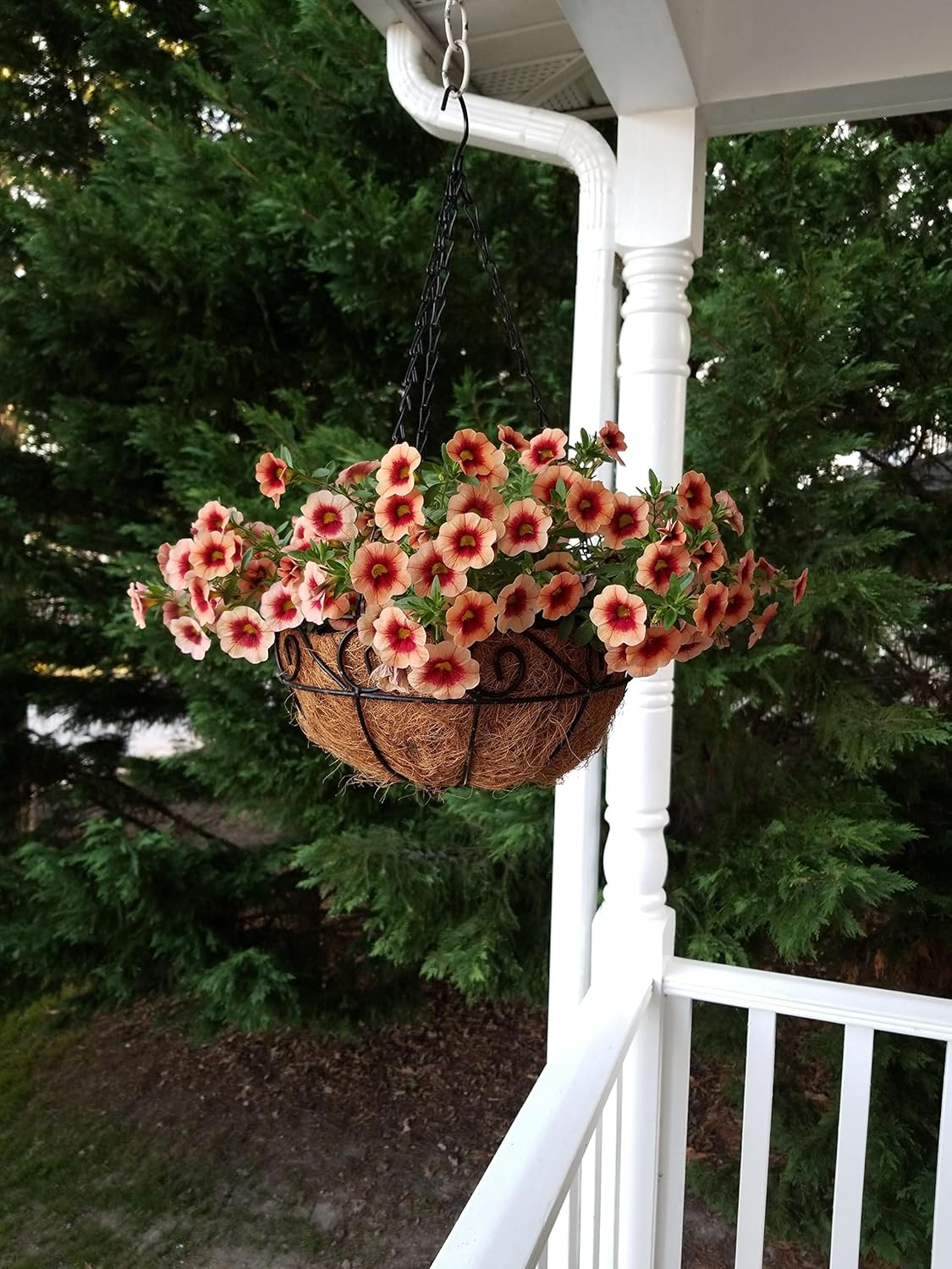 20 Inch Round Shape Coco Liners for Hanging Basket(2 Pieces of Pack)