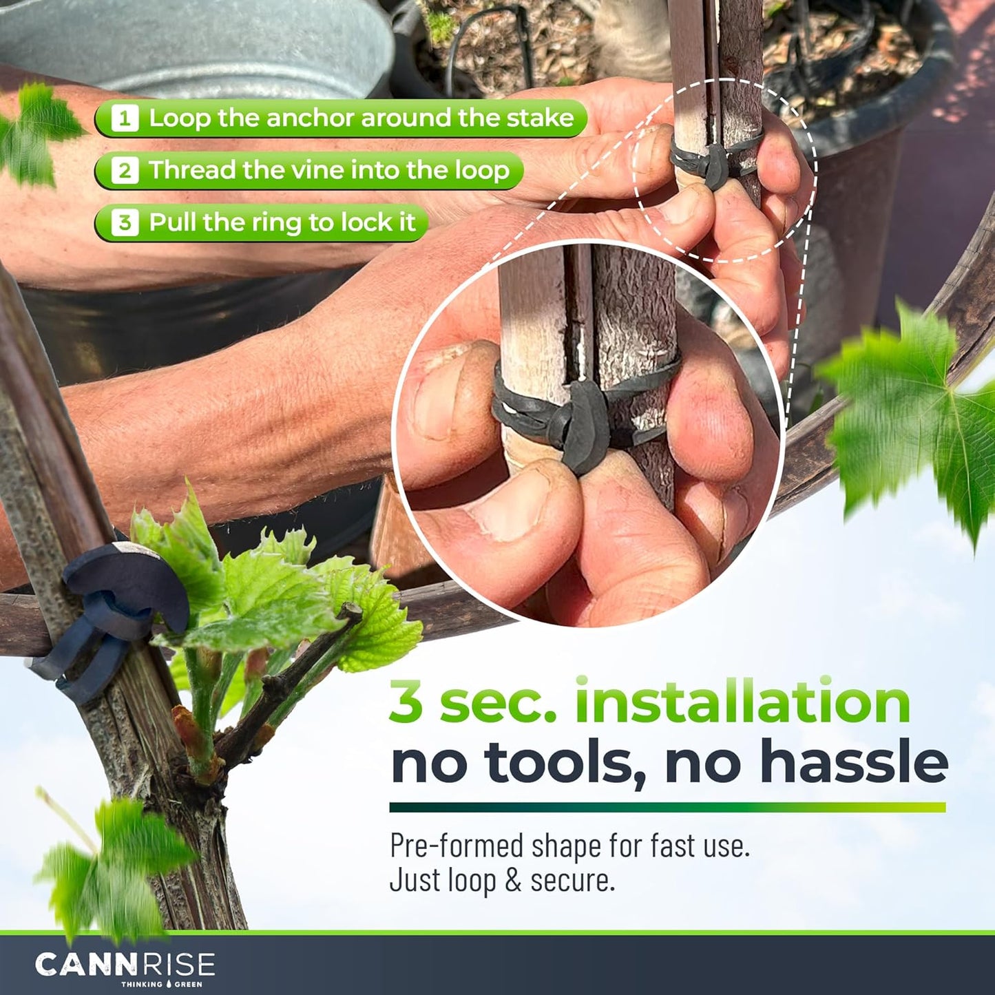 Anchor Rubber Bands for Trellising – 33 Pack of 12 cm/4.72 inches Rubber Bands for Outdoor Plant Support, Climbing Plants, Grape Vines, Trees – UV-Protected, Elastic, Multi-Purpose Use