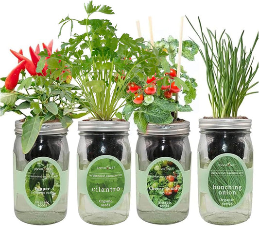 Hydroponic Mason Jar Indoor Garden Organic Seed Starter Kits - Zesty Salsa Growing Kits, Gardening Gift (Jalapeno Pepper, Cilantro, Cherry Tomato - Tiny Tim, Bunching Onion)