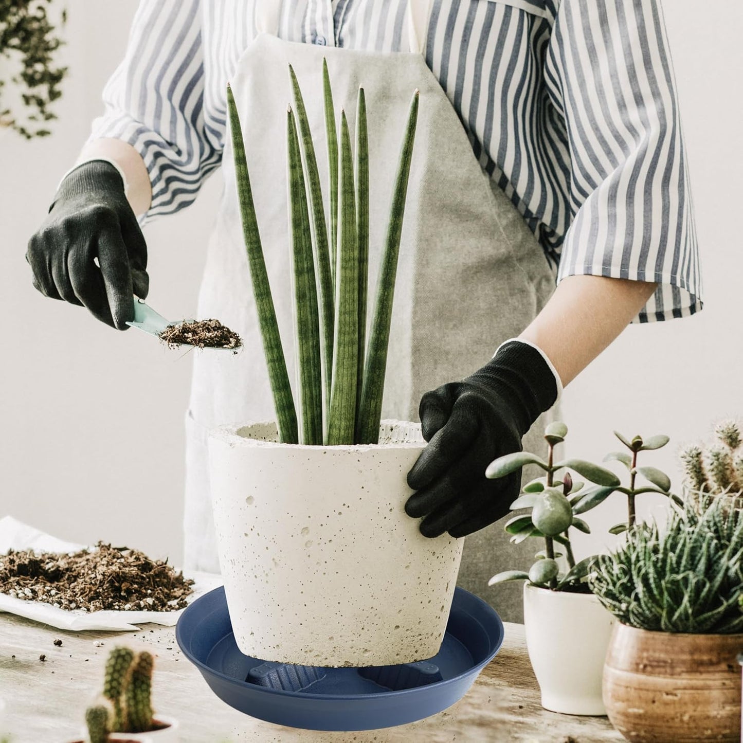 4 Pack Plant Saucer 8 inch, 10 12 14 17 inch, Plant Stand Plastic Plant Saucers for Indoors Outdoor, Heavy Duty Flower Planter Drip Trays for Pots, Pot Saucers for Plants, Grow Bags Saucers