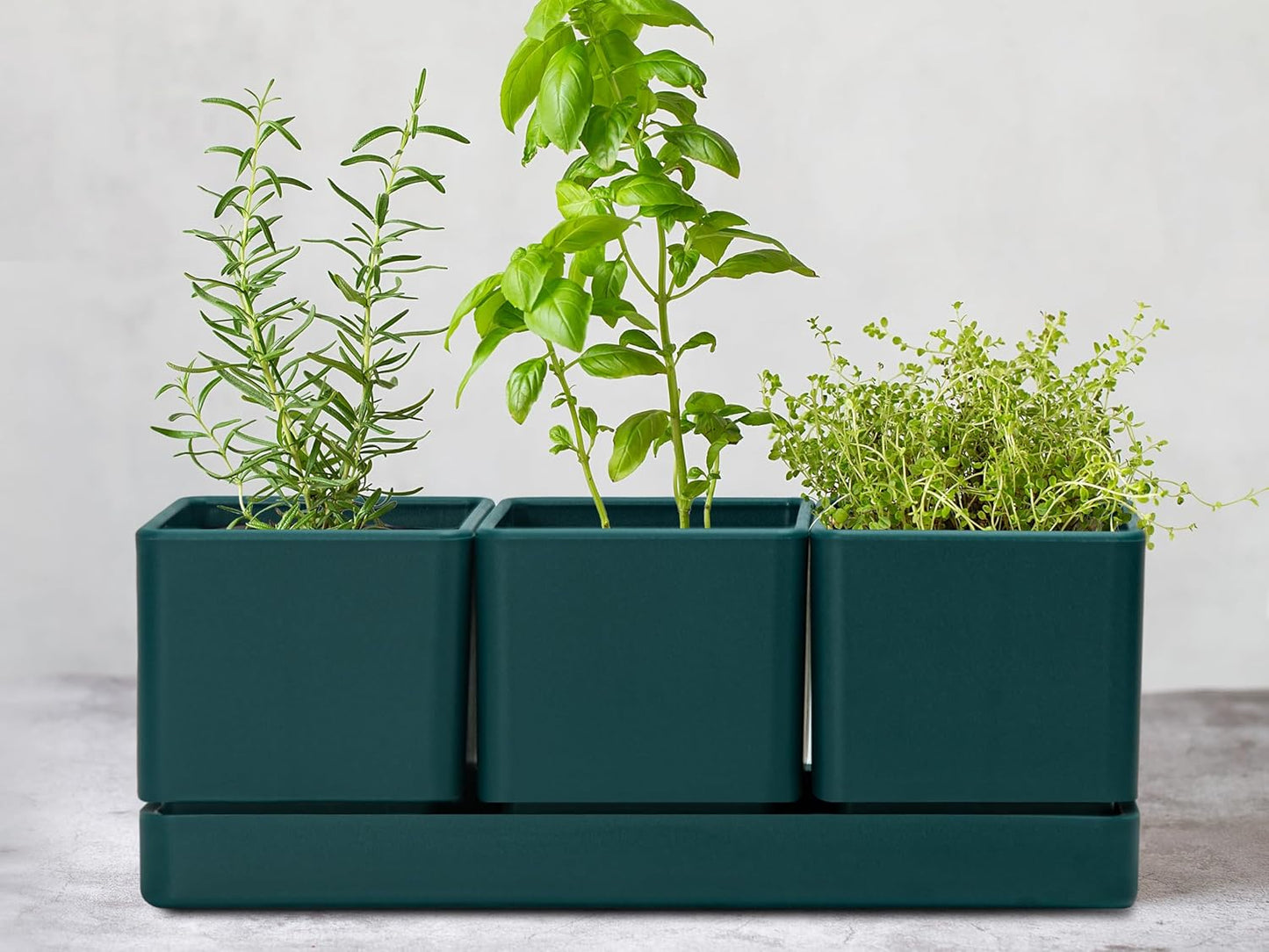 D'vine Dev Herb Garden Planter Set, Plastic Plant Pots with Drainage and Saucer, Indoor Succulent Cactus Vegetable Pot for Windowsill, Garden Balcony, Green, Set of 1, 76-V-C-1