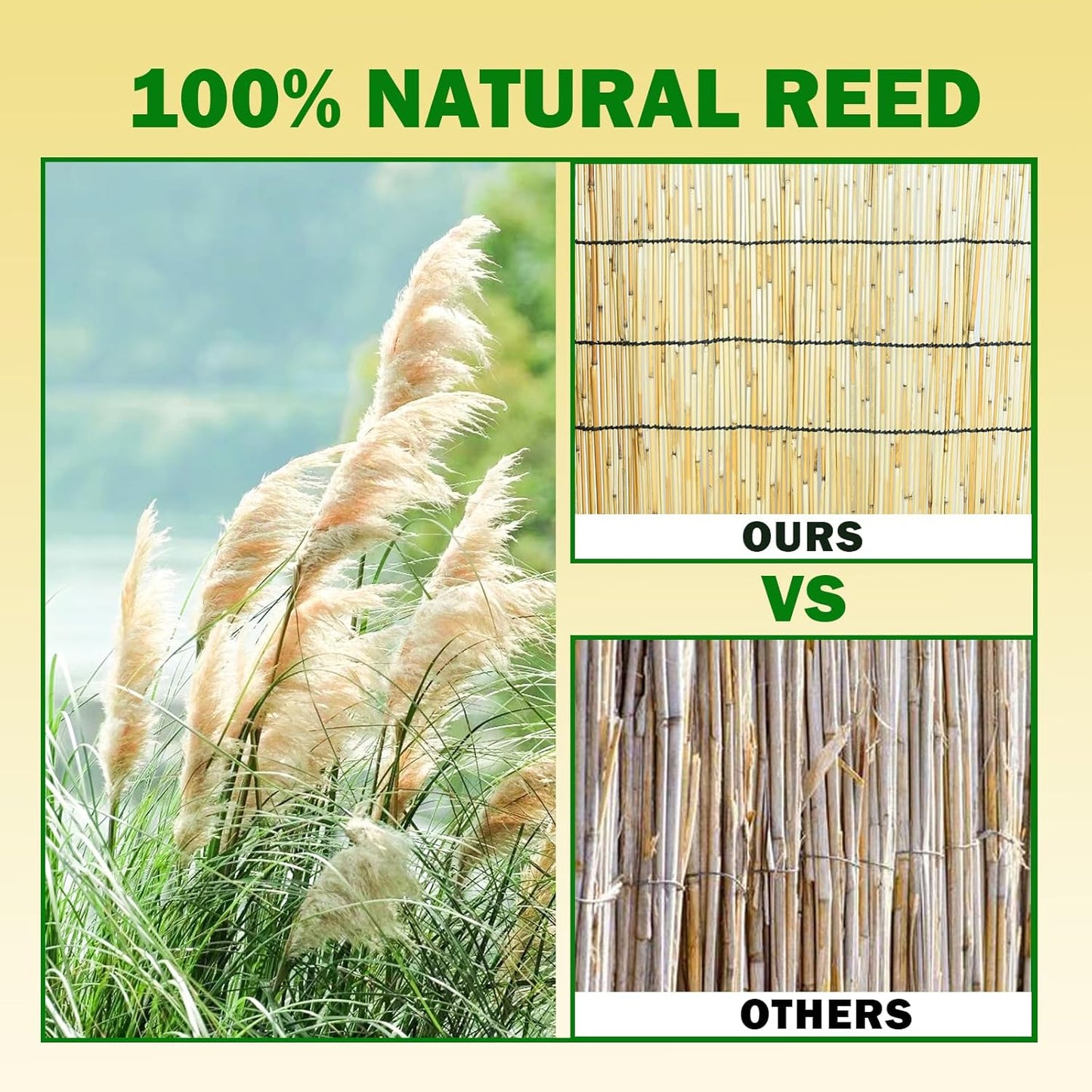 2 Pcs Jollybower Natural Reed Fencing Rolls, Eco-Friendly Reed Fence Curtain, 4Ft High x 13Ft Long Reeds Screen, Decorative Fence for Garden Privacy, Balcony and Window