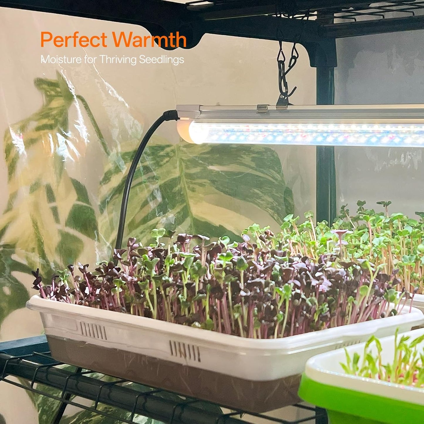 Indoor Greenhouse with Grow Light, 4-Tier Mini Green House, 4Pcs Grow Lights for Indoor Plants with Timer, Zippered PVC Grow Tent with Airflow Windows, Indoor Greenhouse Cabinet 35x19.3x63in