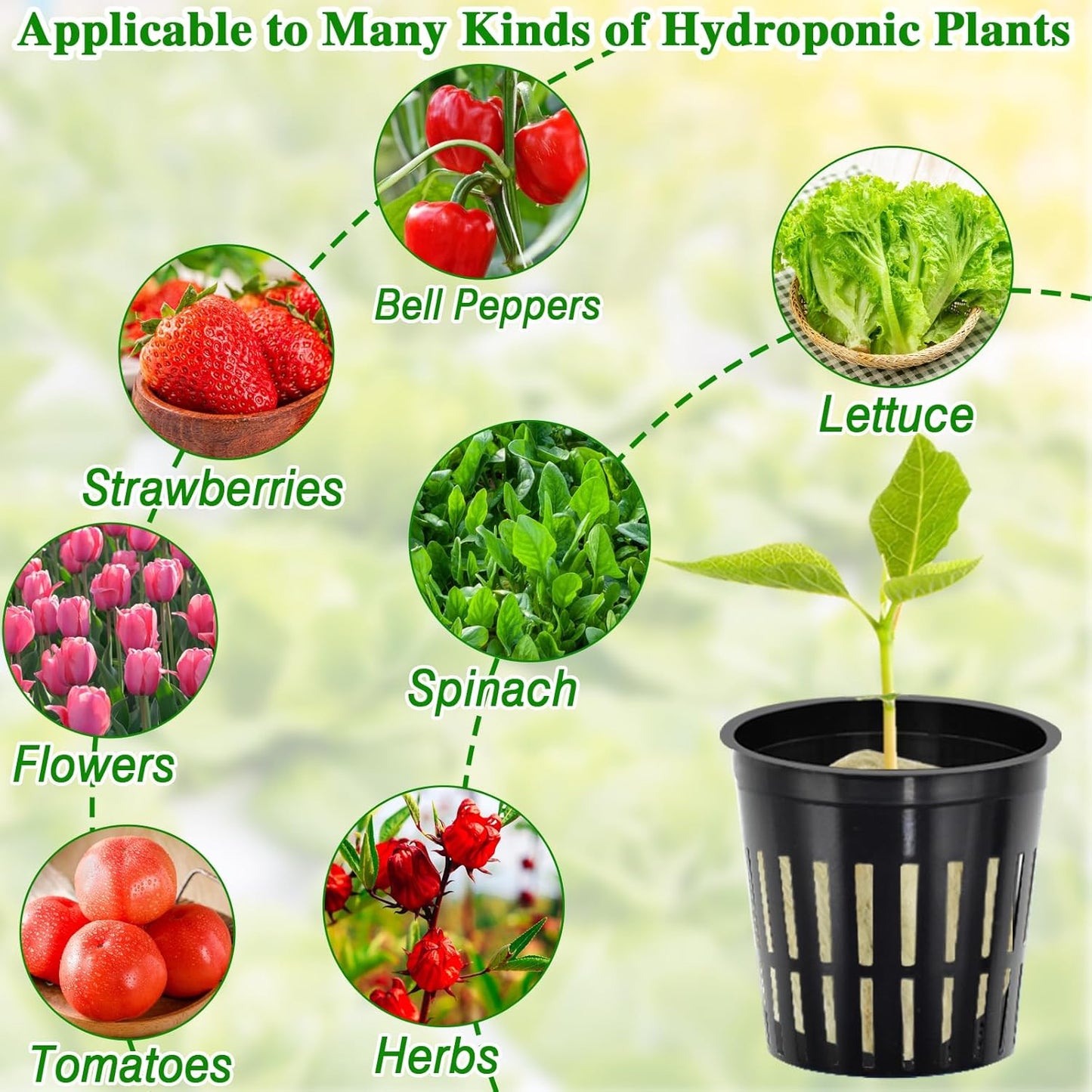 Halatool 144PCS 1.2-Inch Rockwool Cubes with 120PCS 2-Inch Net Cups for Hydroponics Great Hydroponic Kit for Cuttings Clone Plant Propagation Seed Starting & Soilless Cultivation