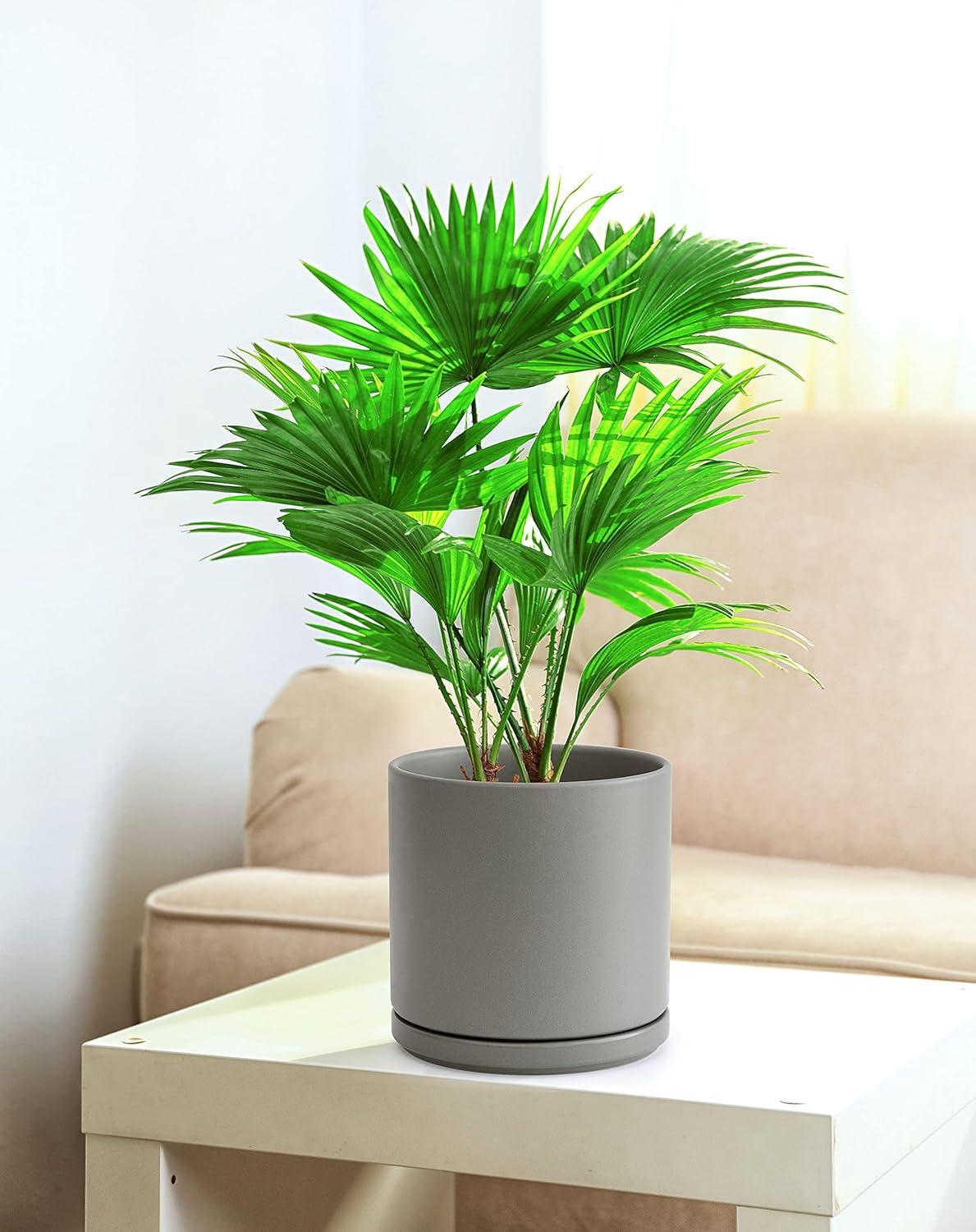 D'vine Dev 8 Inch Ceramic Planter Pot with Drainage Hole and Saucer, Indoor Cylinder Round Planter Pot, Grey, 94-O-D-3