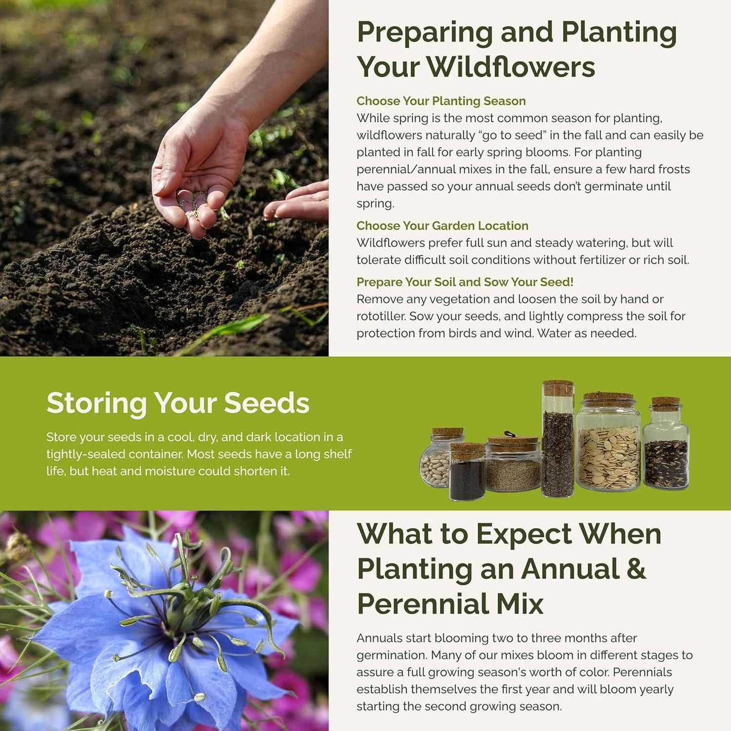 Eden Brothers Blue Ribbon Flower Mixed Seeds for Planting, 1 lb, 480,000+ Seeds with Blue Bell, Cornflower Blue, Chicory | Attracts Pollinators, Plant in Spring or Fall, Zones 3, 4, 5, 6, 7, 8, 9, 10