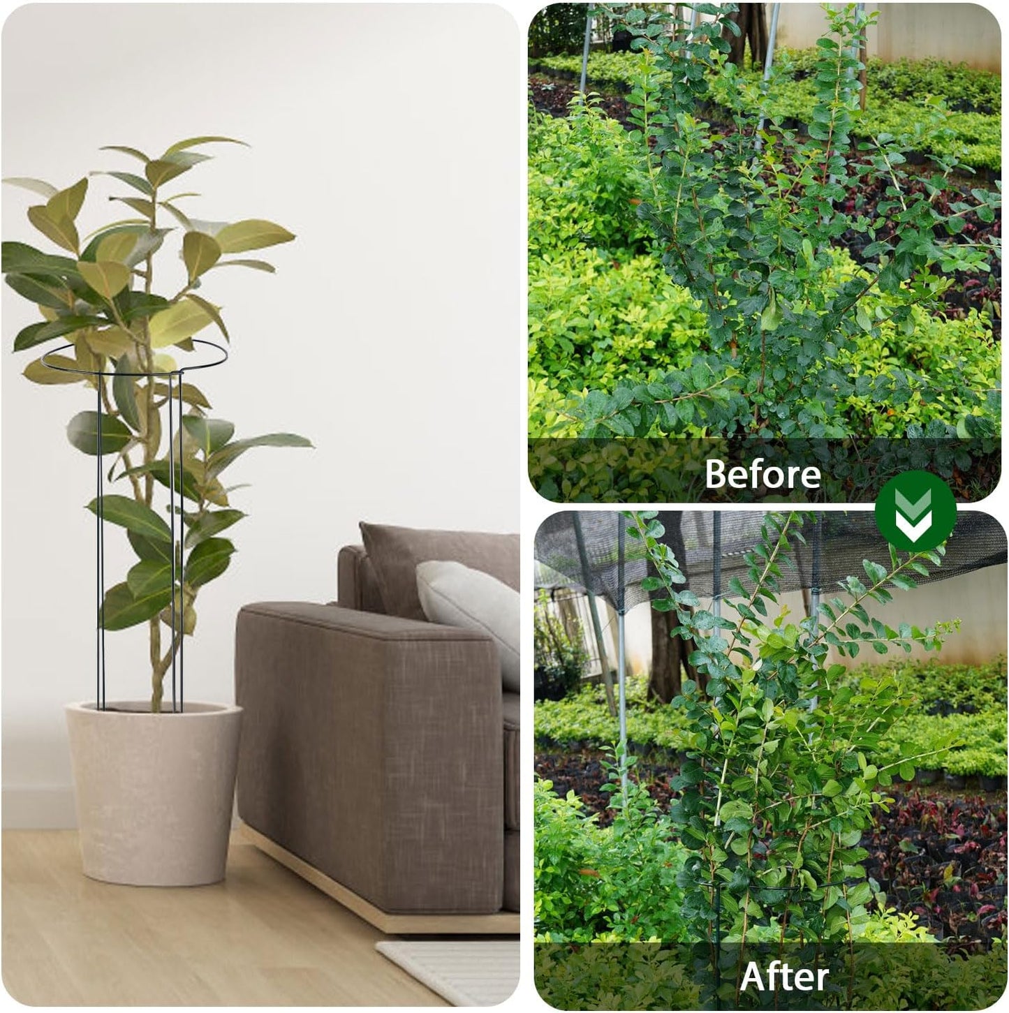 32 inch Plant Support Stakes, 10 Pack Half Round Metal Garden Plant Stake Heavy-Duty Plant Support Ring and Cage with Plant Clip & Twist Tie for Indoor and Outdoor Plants, Vegetable, Flowers