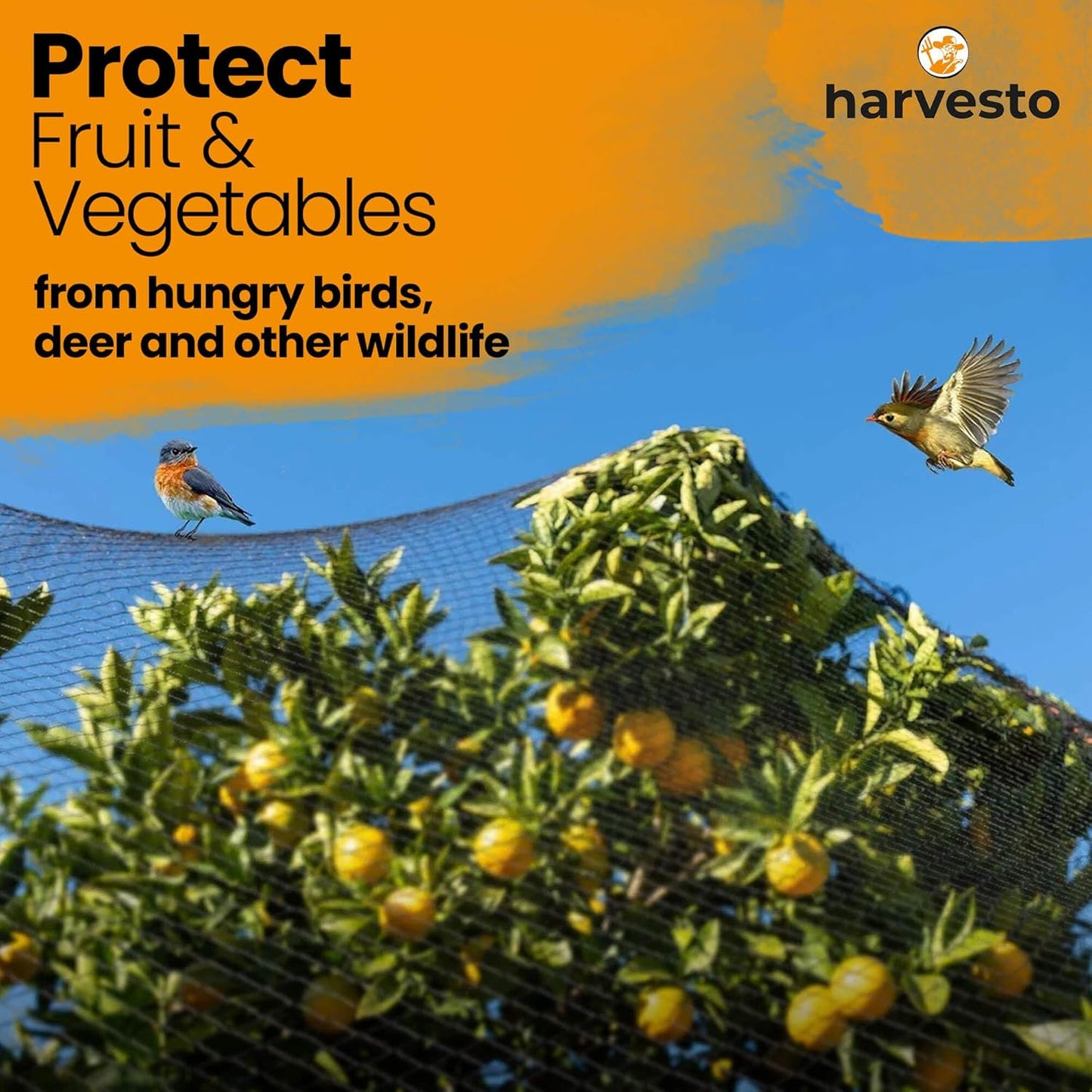 Heavy Duty Bird Netting for Chicken Coops & Runs | Tree & Garden Netting Mesh 1-1/2" | Keep Hawks, Birds & Predators Away | Bird Netting for Blueberry Bushes, Vegetables & Fruit (25' x 50’)