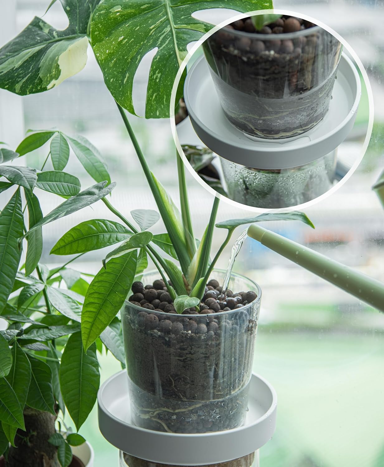 Phoenix Vine 8 Inch Plastic Plant Saucer Water Drip Tray, Heavy Sturdy Round Plant Drainage Tray for Indoors Outdoor, Set of 2, Matte White, 21-TY-8W-2