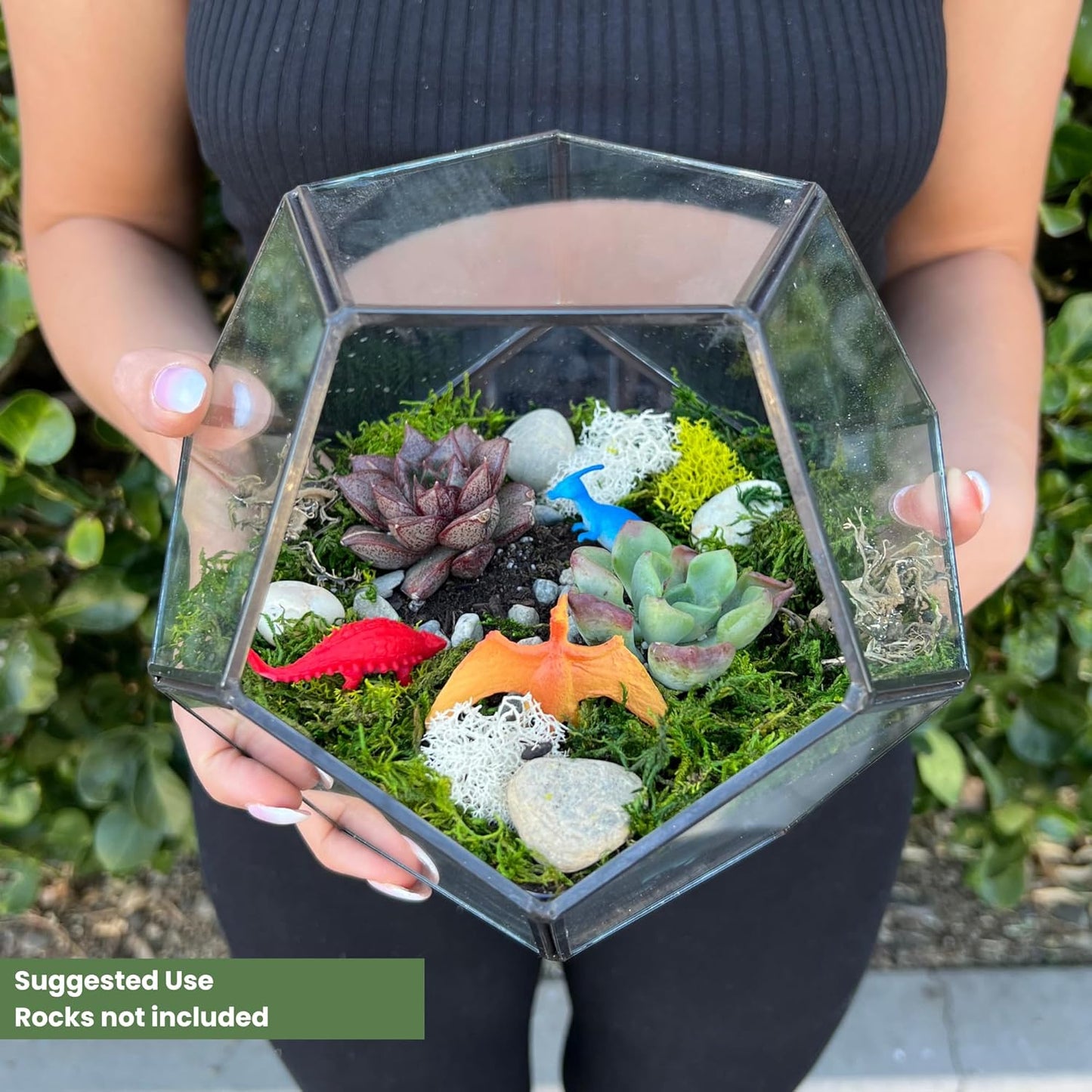 Cute Farms Glass Terrarium Kit | Just Add Your Own Plants (Geometric Glass + Live Plants)