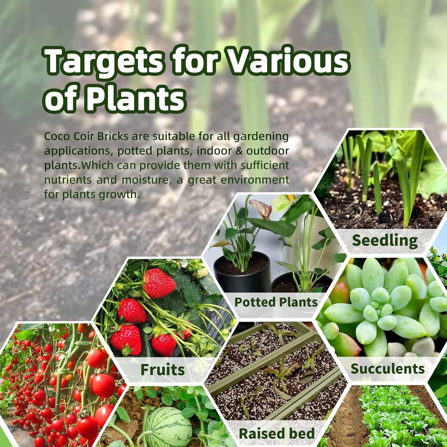 Coco Coir Brick for Plants, 12 Packs 100% Natural Organic Compressed Coconut Coir Fiber with Low EC & PH Balance, High Nutrition Coconut Soil Coco Fiber for Planting, Herbs