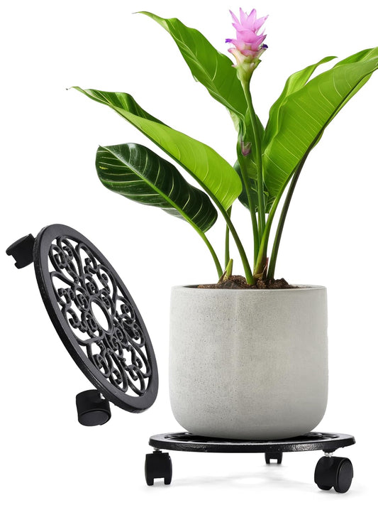 2WAYZ Plant Stand with Wheels - Heavy-Duty Rolling Plant Caddy - Dolly Base with Roller for Large Potted Plants and Flower Pot - Ideal for Indoor and Outdoor Planters - Set of 1 - Black