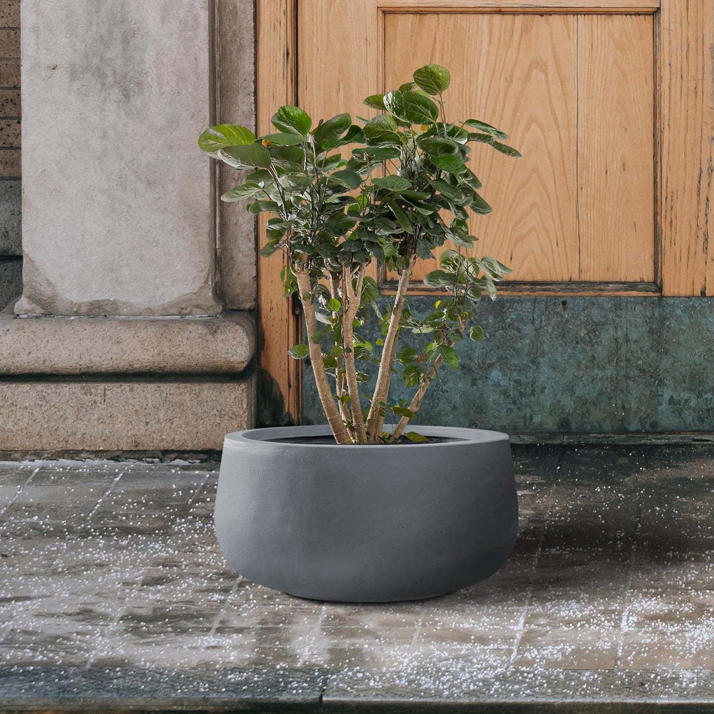 Kante 11.8" Dia Round Concrete Planter, Cement Plant Pots with Drainage Hole and Rubber Plug for Outdoor Indoor Garden Home, Modern Curvaceous Design, Dark Gray