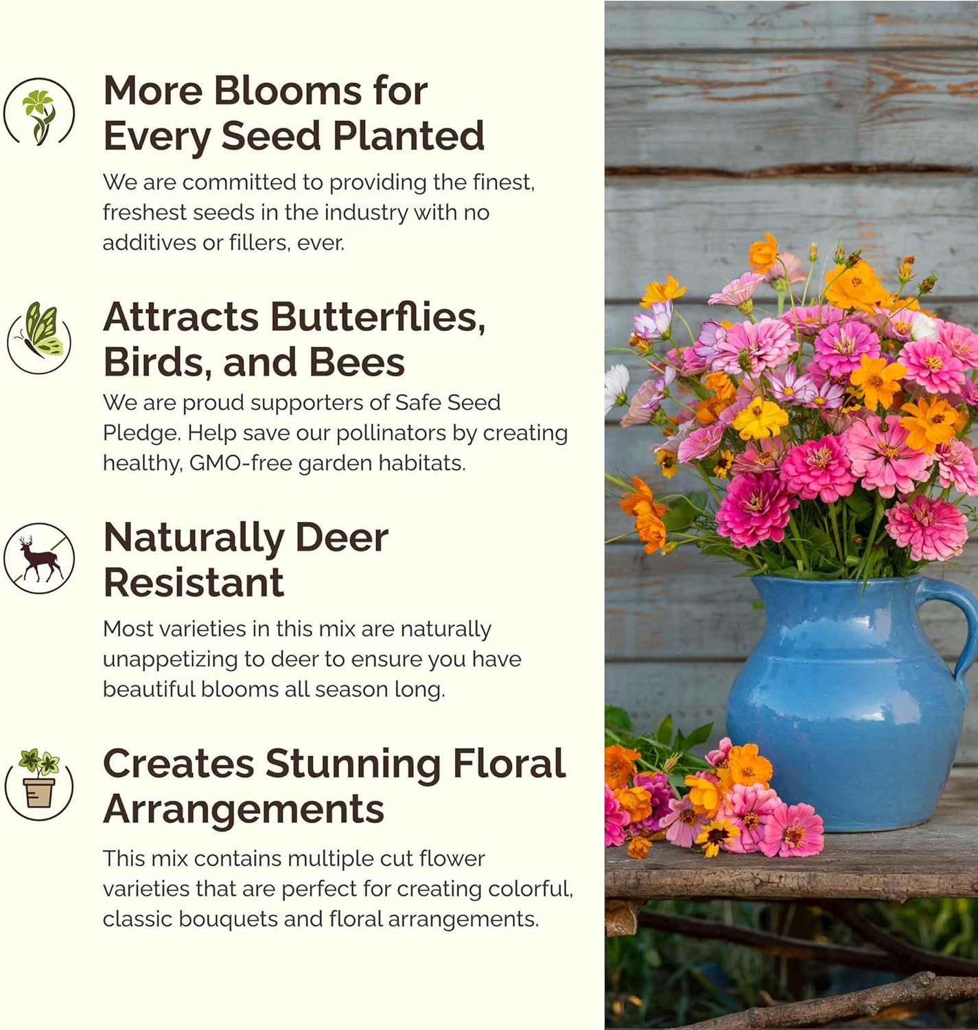 Eden Brothers Orange Sherbet Flower Mixed Seeds for Planting, 1 lb, 480,000+ Seeds with Cosmos Picotee, Bright Lights | Attracts Pollinators, Plant in Spring or Fall, Zones 3, 4, 5, 6, 7, 8, 9, 10