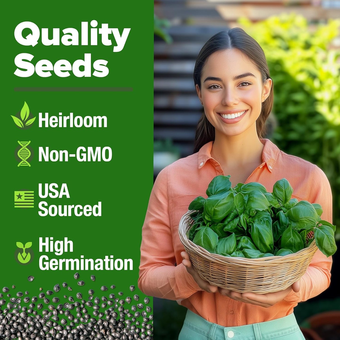 HOME GROWN 𝗨𝗦𝗔 𝗣𝗥𝗘𝗠𝗜𝗨𝗠 Italian Basil Seeds Bulk Pack 1,424 Sweet Large Leaf Basil Seeds for Planting 𝗡𝗢𝗡-𝗚𝗠𝗢 and Heirloom Herb Seeds for Planting Indoors or Outdoors (Ocimum basilicum)