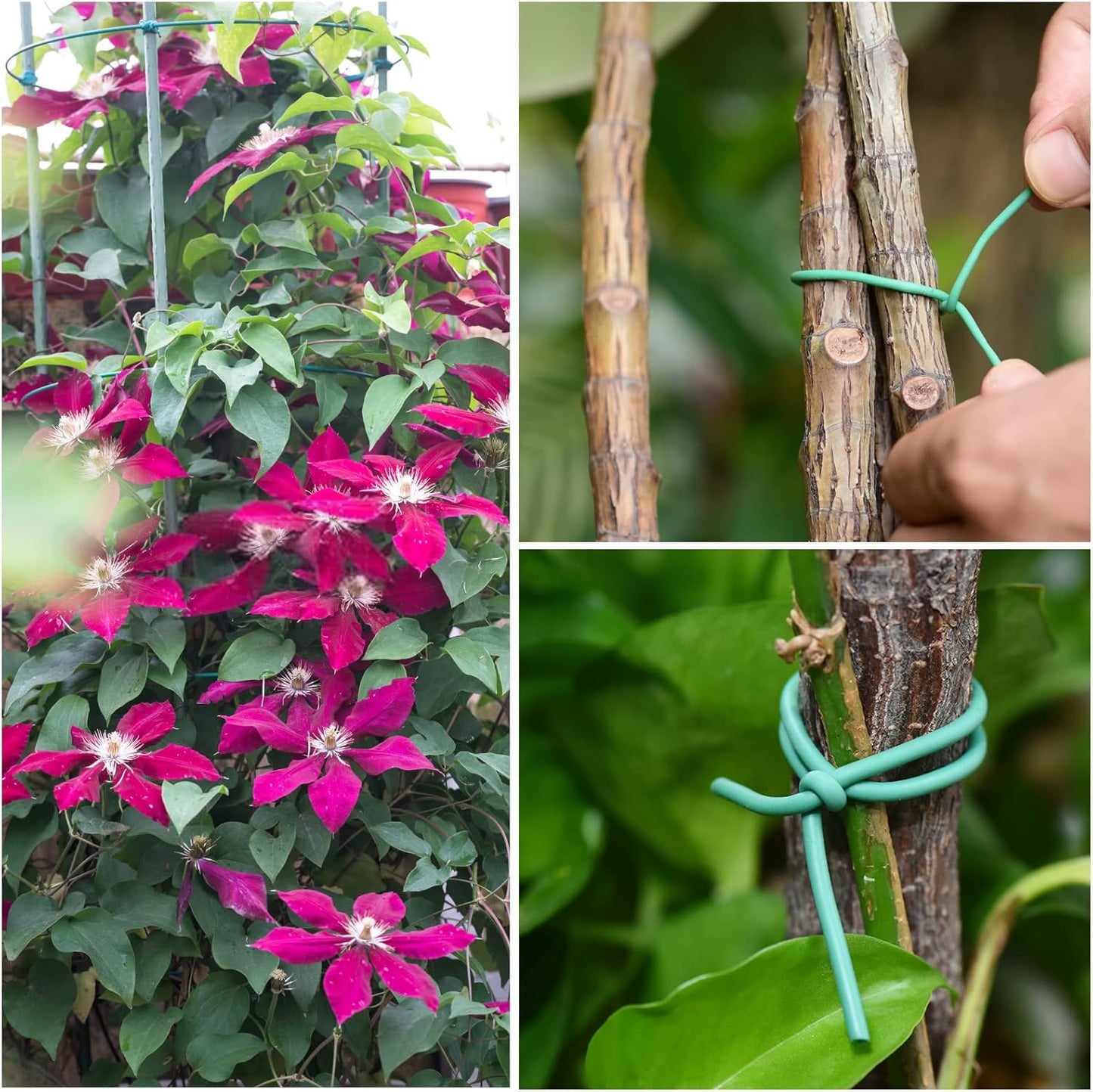 YDSL 88 feet Garden Flexible Wire, Soft Twist Plant Ties for Plant Vines and Office Organization (Diameter - 3MM)