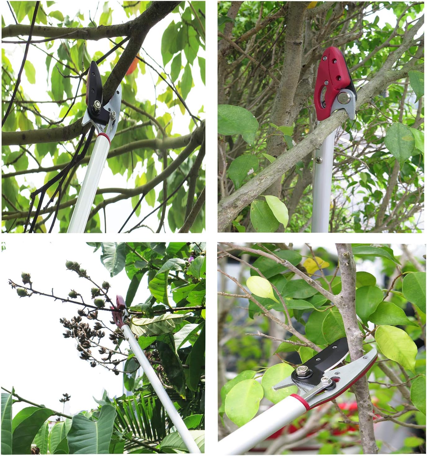2 Feet Cut and Hold Tree Pruner, Rotation Pole Tree Trimming, Short Reach Fruit Picker, Branches Bypass Lopper