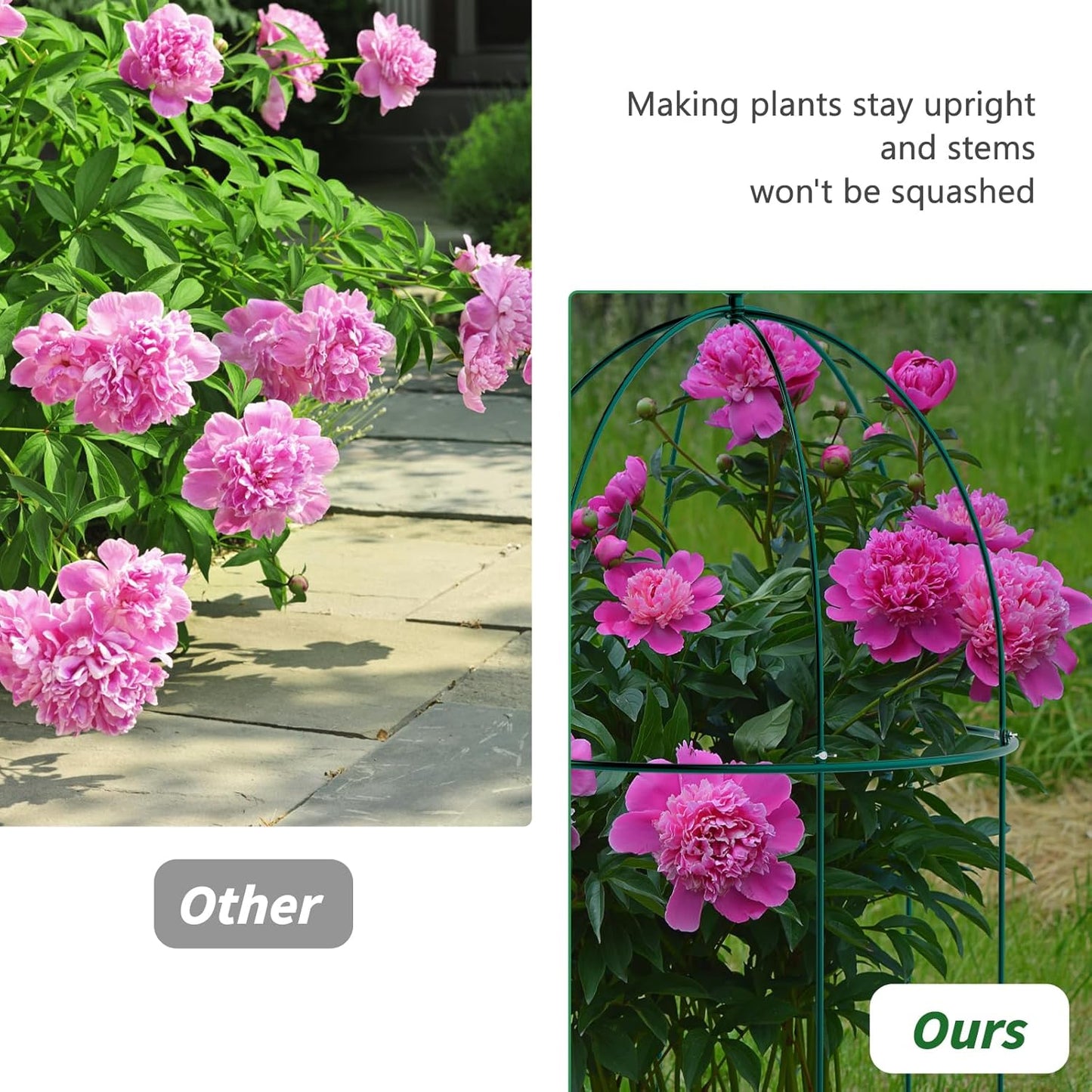 3 Pack Metal Plant Cage Support, 31.5" H Peony Support Tomato Cage Garden Obelisk Trellis Rose Trellis Support Tower Obelisk Garden Trellis for Clematis Vine Jasmine Support Outdoor Indoor