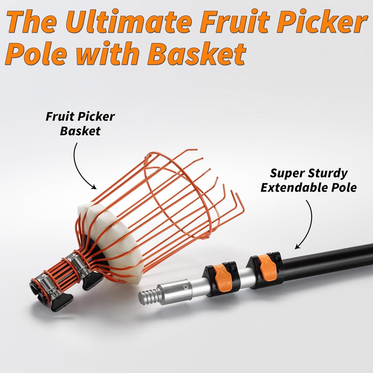 Fruit Picker Pole with Basket Telescoping 5-24 ft Apple Picker Extension Pole // Telescopic Fruit Tree Picker Tool for Picking Orange Mango Avocado Lemon Pear // The Ultimate High-Reach Fruit Grabber