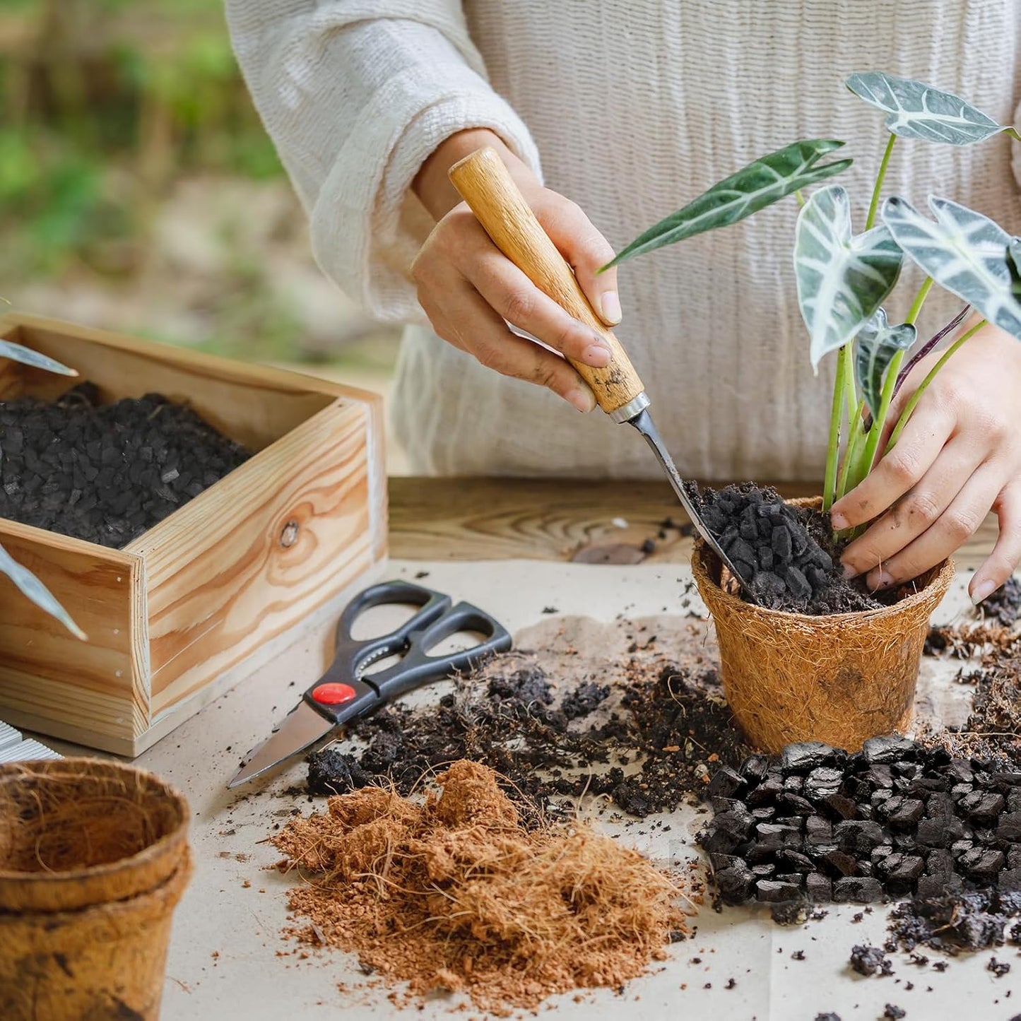 Horticultural Charcoal 2qt for Plants, Actived Charcoal Terrarium Supplies, Suitable for Indoor Plants, Succulent, Orchid, Cactus, Bonsai