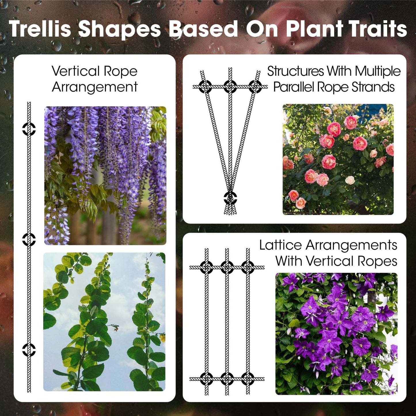 20 Sets Cylindrical Hubs Wall Trellis Kits, Wire Trellis for Climbing Plants Outdoor with 98Ft x 1/8" T316 Stainless Steel Rope, Garden Wire Trellis System for Espalier & Vertical Gardening