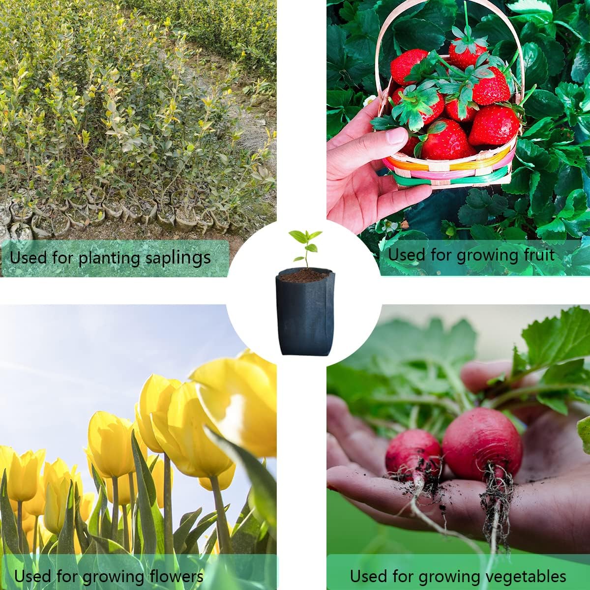 gardtree Plant Nursery Bags 6.3” x 7” 400PCS, Non-Woven Biodegradable Plant Grow Bags Fabric Seedling Starter for Vegetable Flower Fruit Saplings Tree, Home Garden Supply