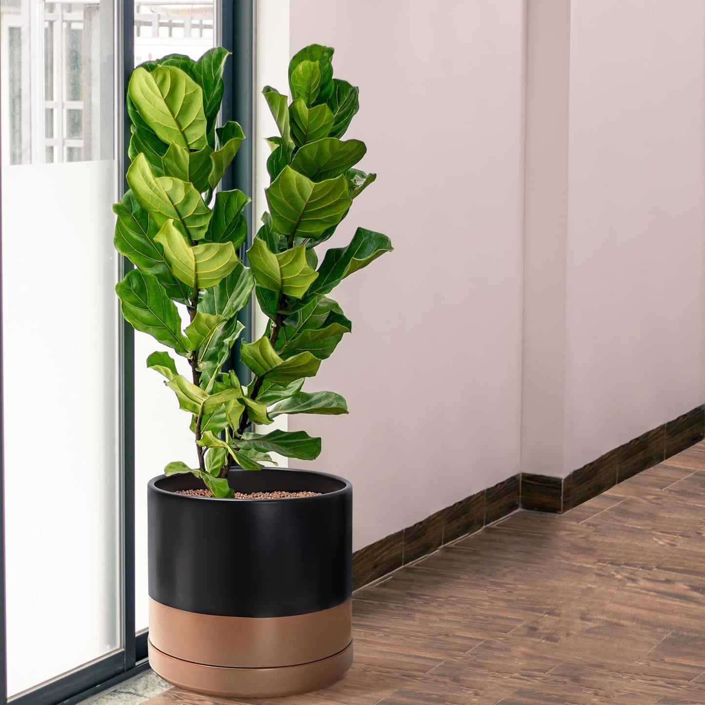 D'vine Dev 14 Inch Ceramic Planter Pot with Drainage Hole and Saucer, Indoor Cylinder Round Planter Pot, Black/Speckled Tan, 94-O-G-7