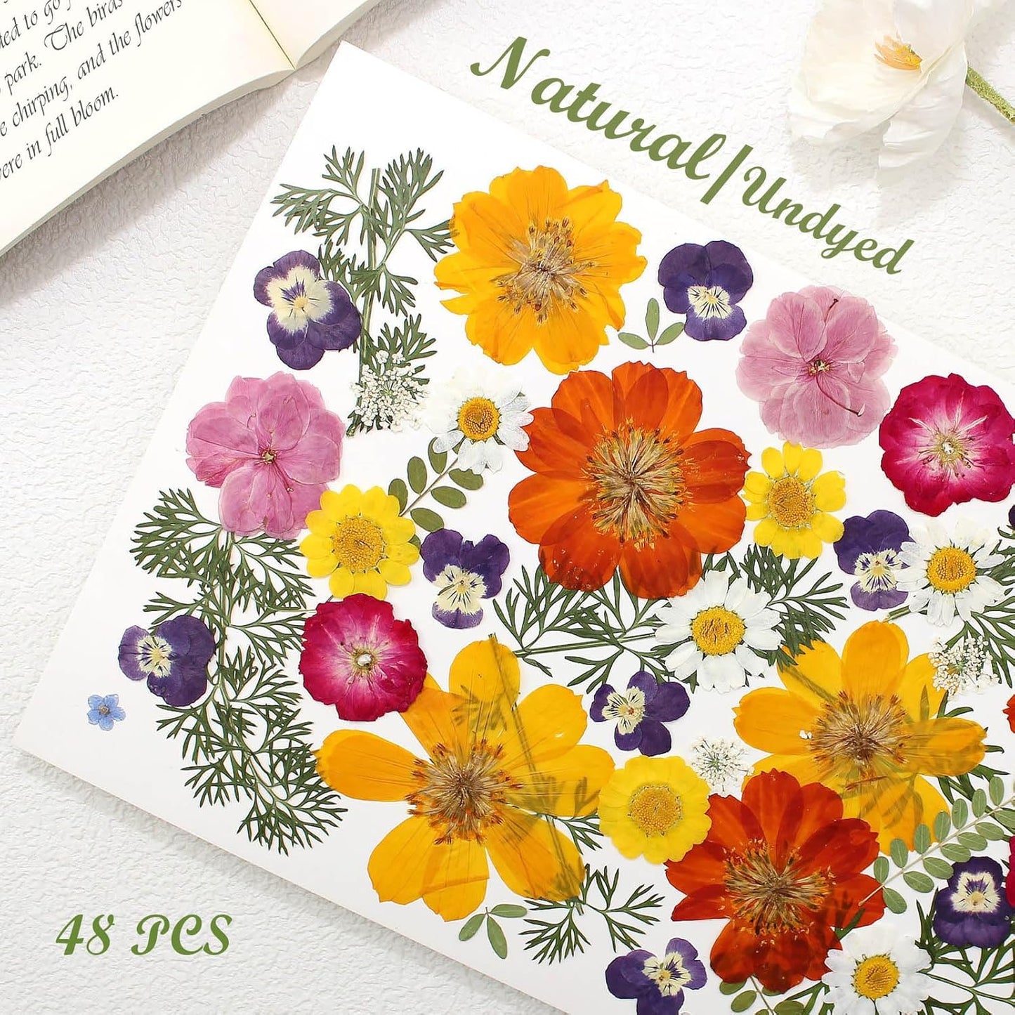 48 Pcs Mix Natural Dried Pressed Flowers for Cake Decorating, Real Dry Flower for Resin Jewelry Making, DIY Art Crafts - Muticolor