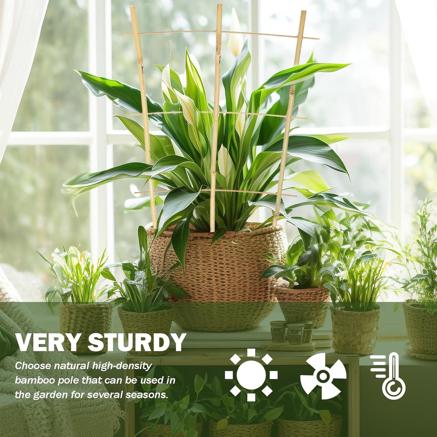 3PCS Fan-Shaped Bamboo Trellis, 2Ft Plant Trellis Indoor, Small Trellis for Potted Plants Indoor, Climbing Plants, Vegetables