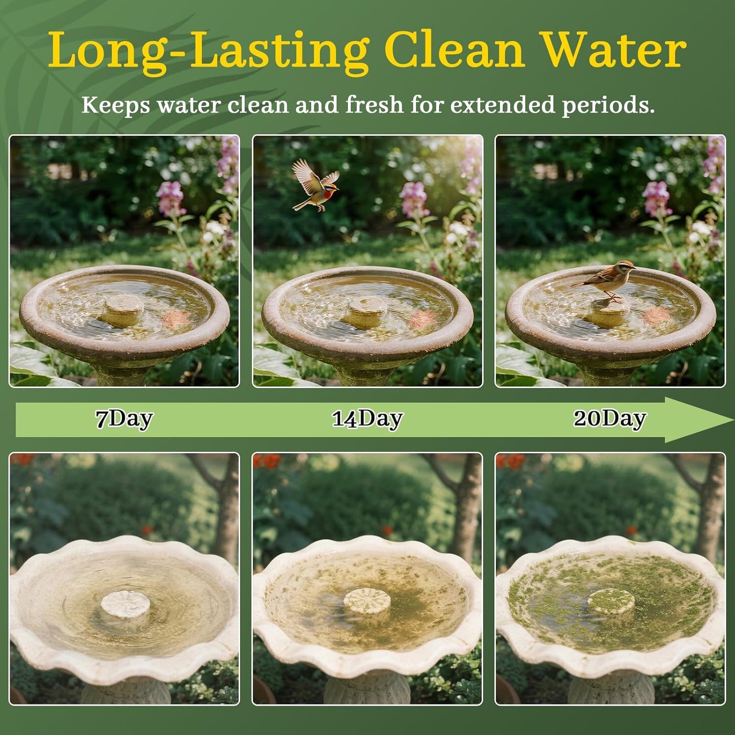 Bird Bath Copper Disk,Bird Bath Purification Disk 0.6mm Reinforced 99.99% Pure Copper Cleaning Disk with 3-Point Support,Fits Outdoor Birdbath & Bowl,Provide Safe Clean Water,Maple Leaf-4Pcs